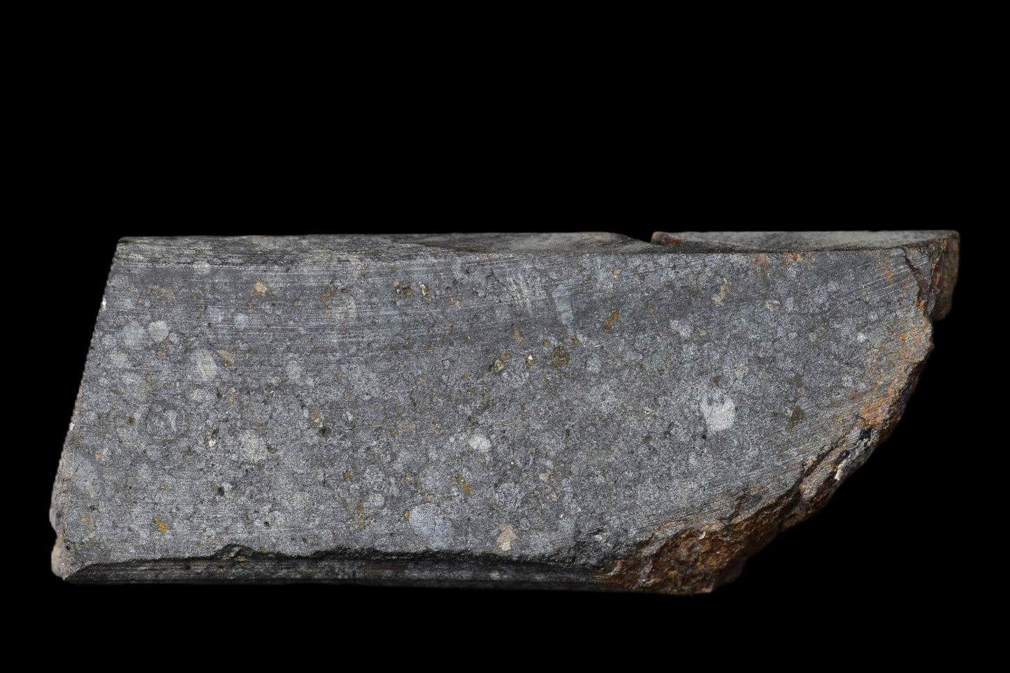 NWA 14224 LL3 meteorite slice weighing 6.64 grams showing metallic and dark mineral textures on a white background.