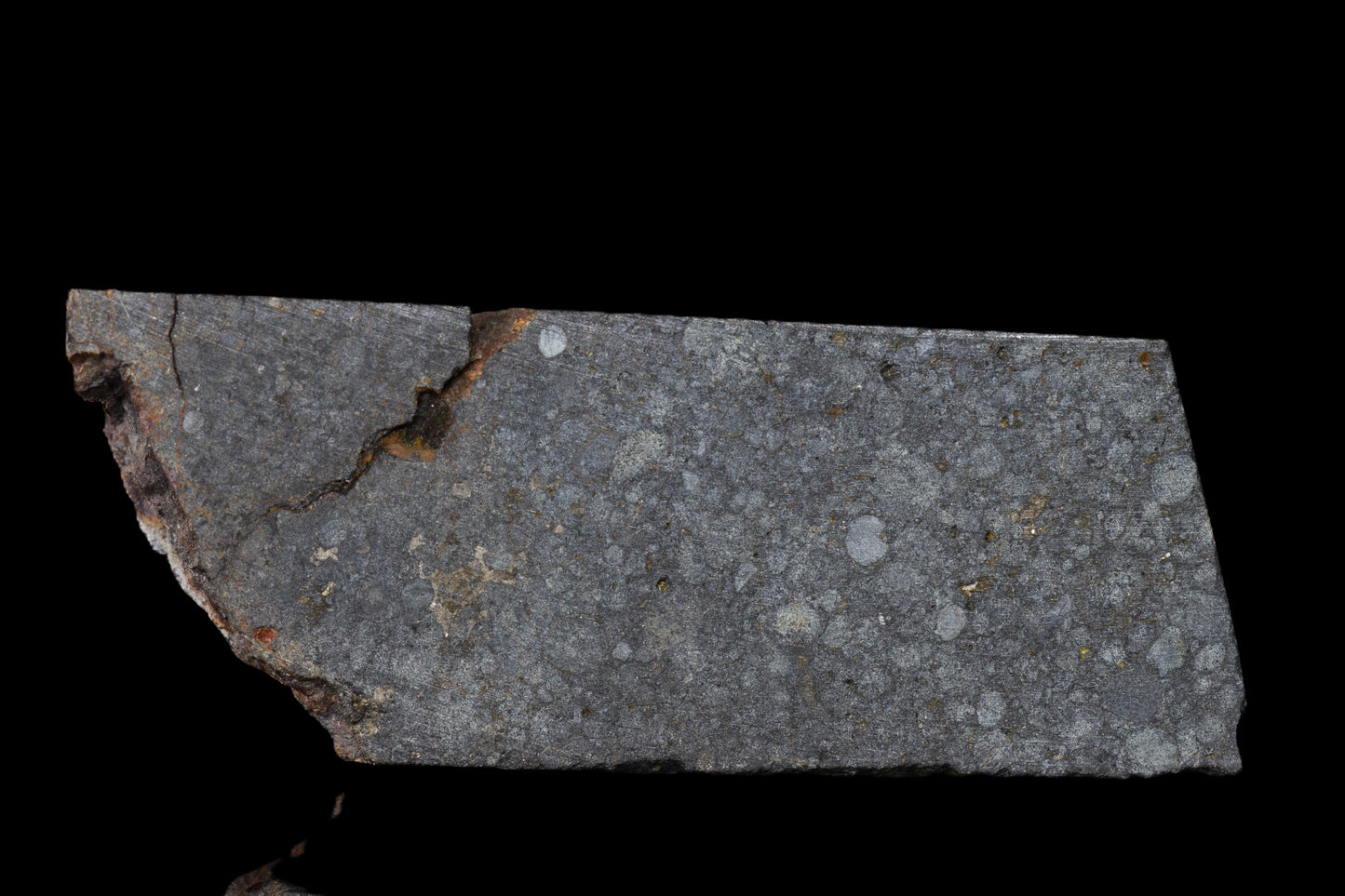 NWA 14224 LL3 meteorite slice weighing 6.64 grams, showcasing dark fusion crust and metallic interior, from Buy Meteorite, LLC.