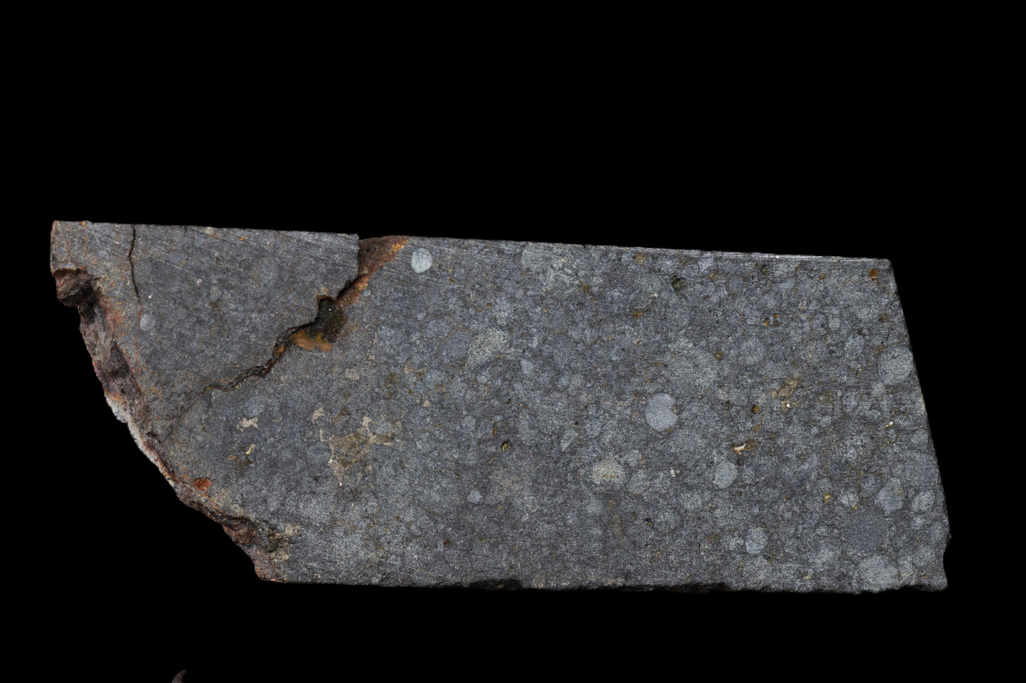 NWA 14224 LL3 meteorite slice, 6.64 grams, showing metallic and mineral textures, from Buy Meteorite, LLC.
