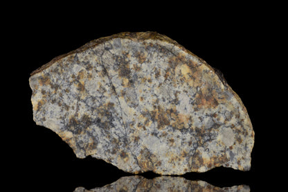 NWA 14225 LL6 chondrite meteorite with a 2.34g specimen, featuring dark fusion crust and mineral inclusions on a neutral background.