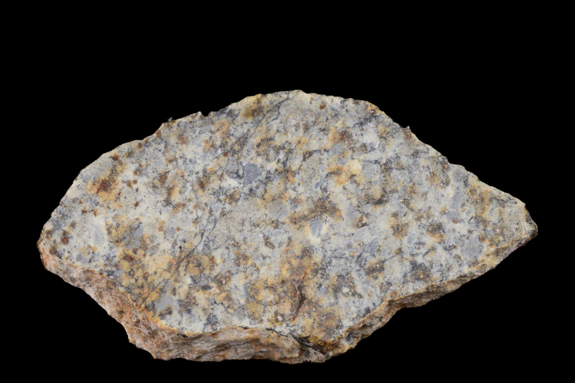 NWA 14225 LL6 Chondrite 3.00  g 