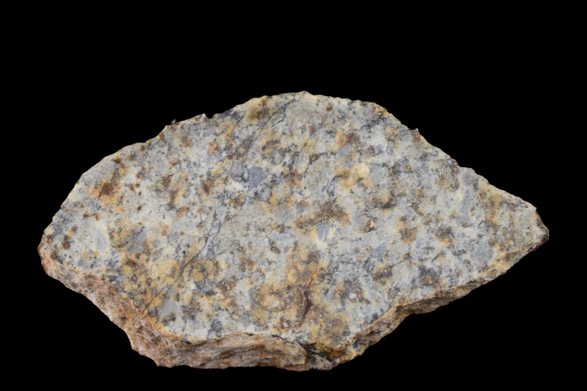 NWA 14225 LL6 Chondrite 3.00  g 