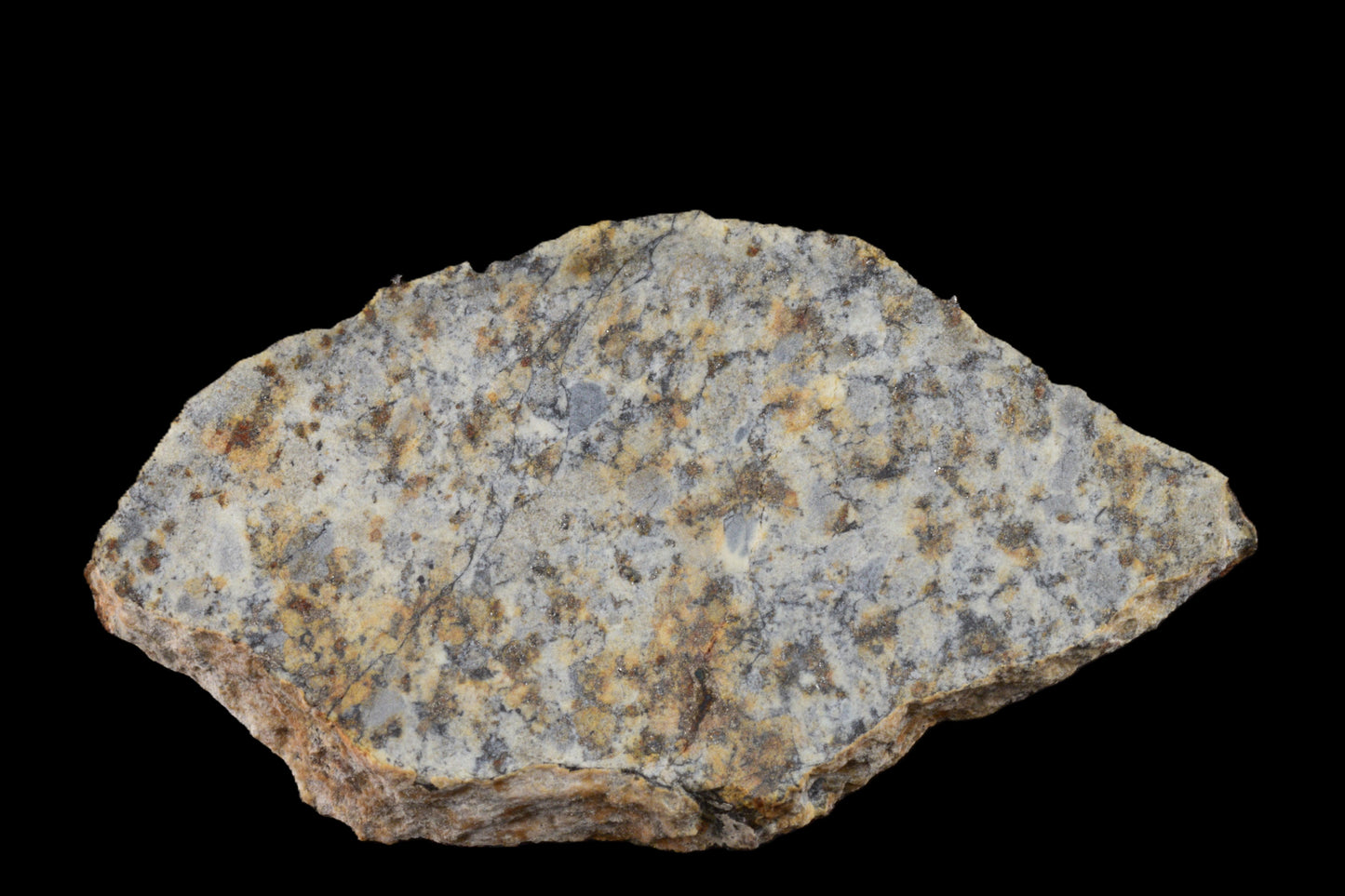 NWA 14225 LL6 Chondrite 3.00  g 