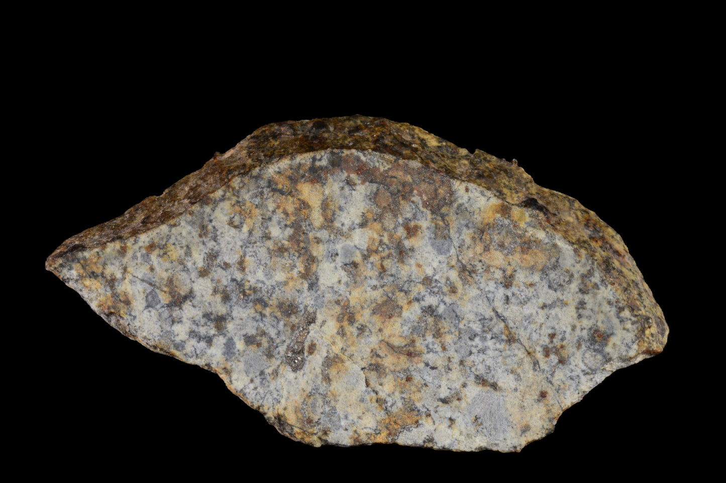 NWA 14225 LL6 Chondrite 3.00  g 