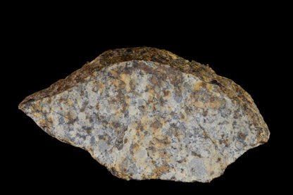 NWA 14225 LL6 Chondrite 3.00  g 