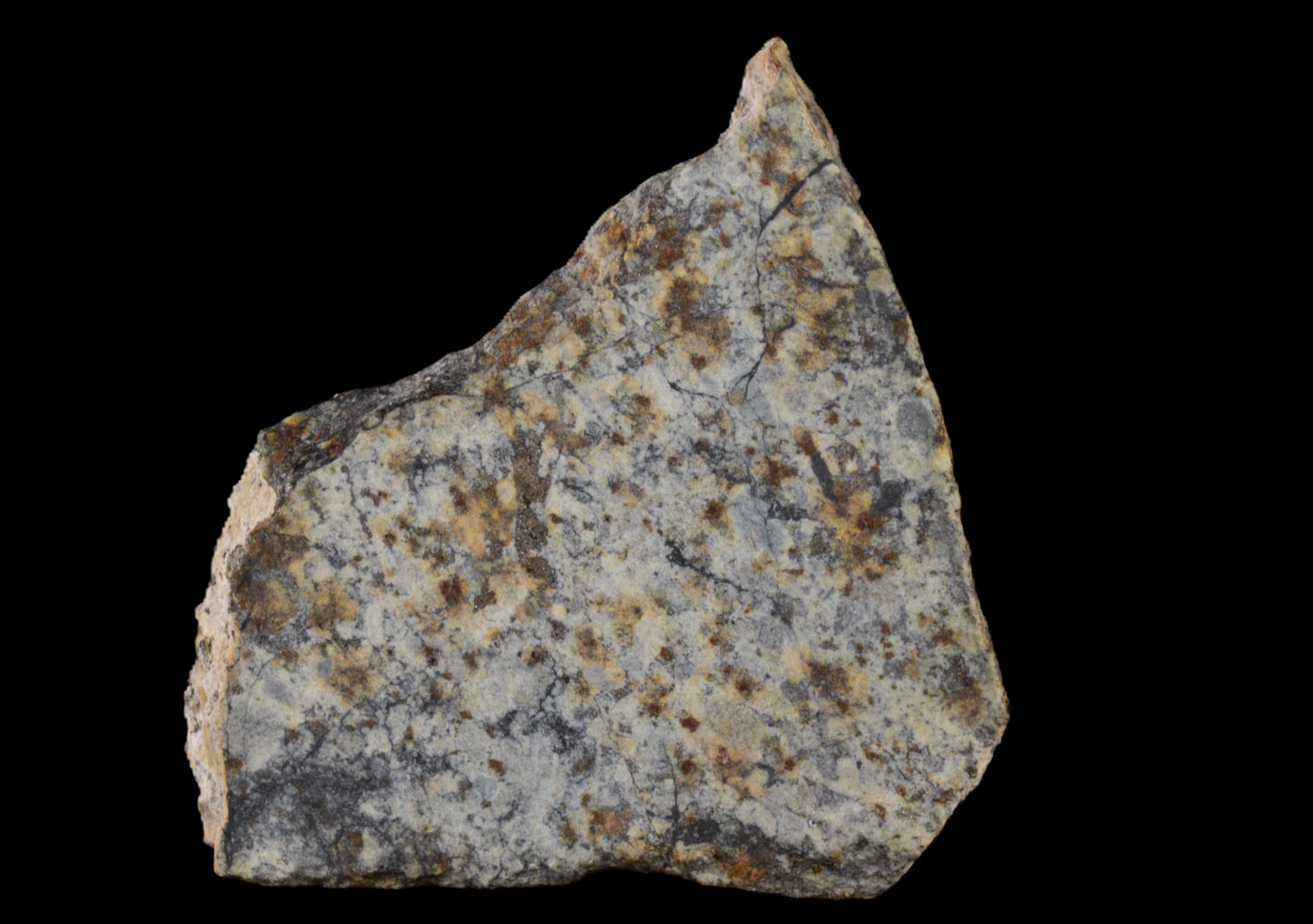 NWA 14225 LL6 chondrite meteorite slice showing a dark, textured surface with mineral inclusions, weighing 4 grams.