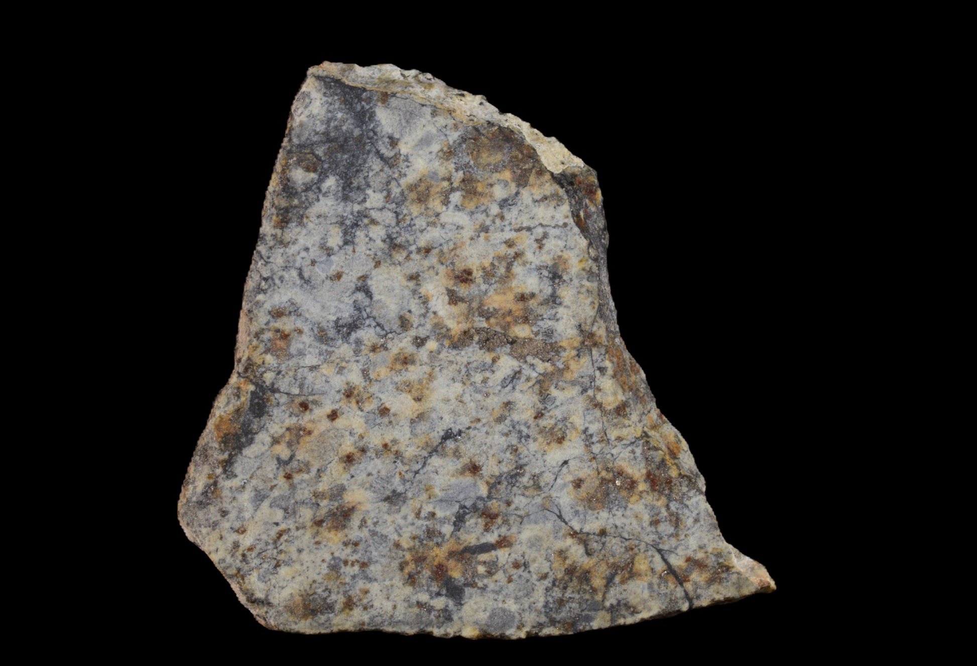 NWA 14225 LL6 chondrite meteorite, 4 grams, with a textured, dark surface showing mineral inclusions and natural meteorite features.