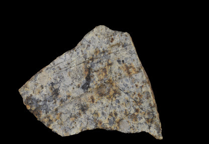 NWA 14225 LL6 chondrite meteorite specimen from Buy Meteorite, LLC, showing a rough, dark meteorite fragment weighing 4 grams.