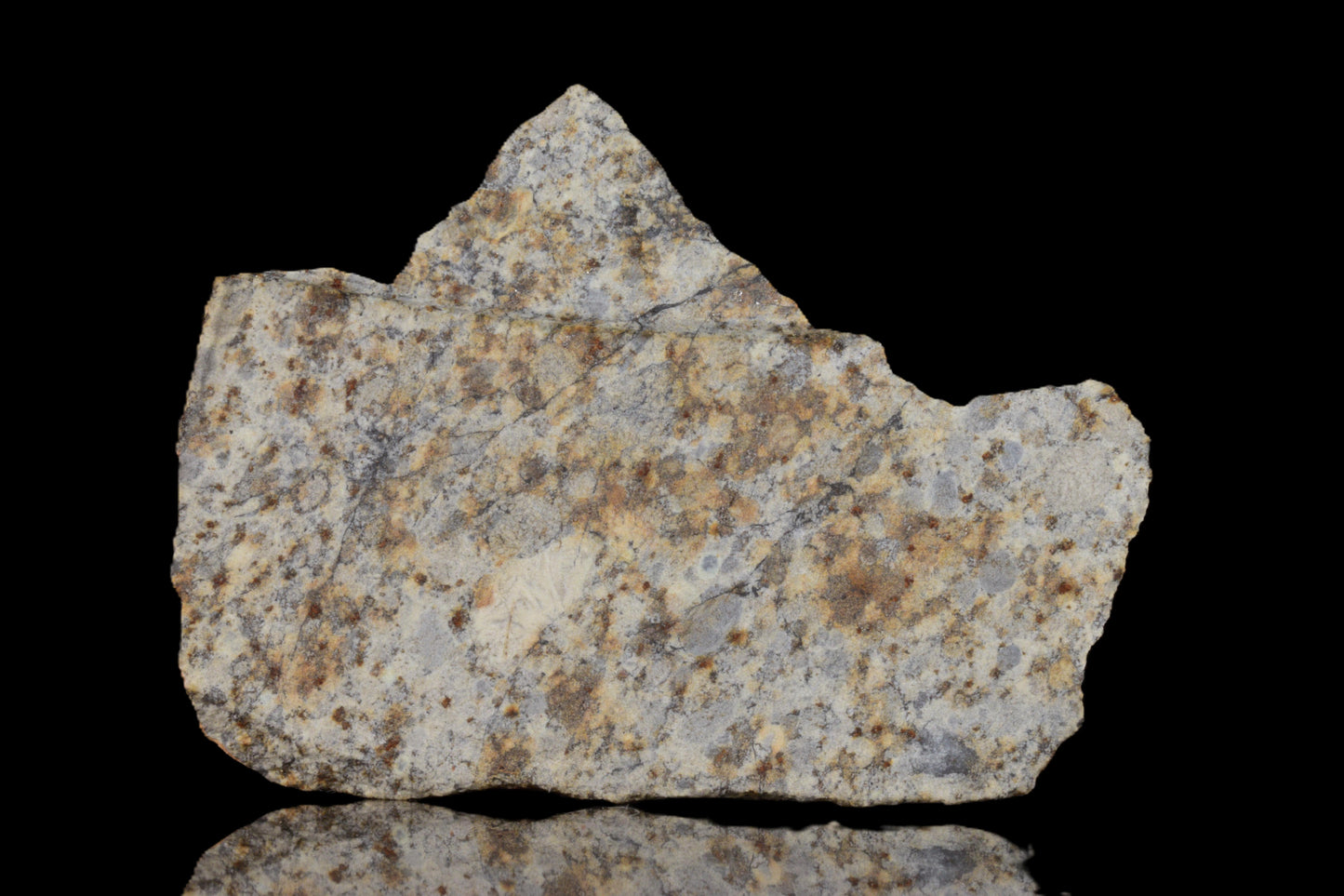 NWA 14225 LL6 chondrite meteorite, 7.10 grams, with a dark, rocky surface featuring mineral inclusions.