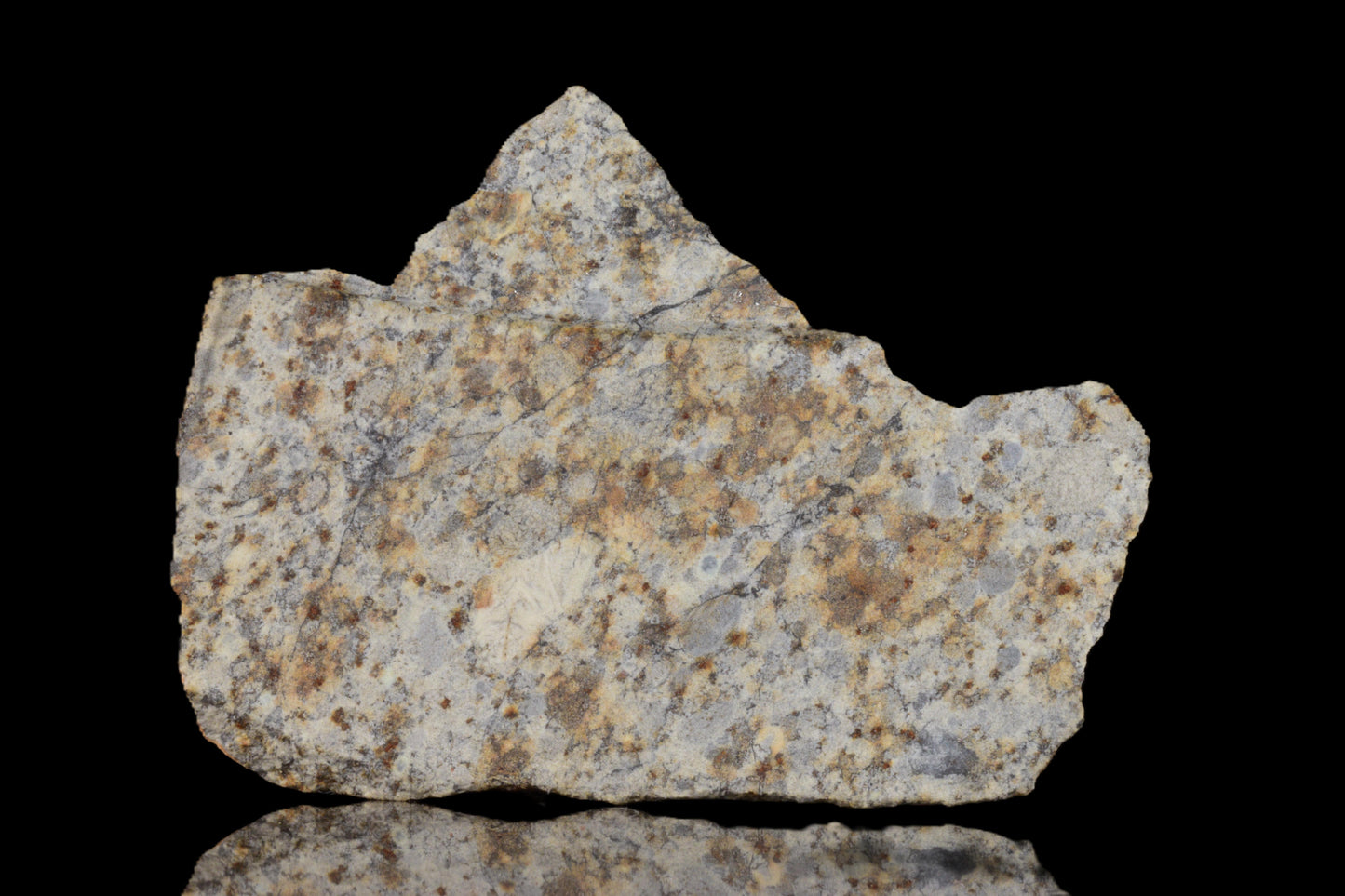 NWA 14225 LL6 chondrite meteorite specimen weighing 7.10 grams with rough, irregular surface and dark, rocky texture.