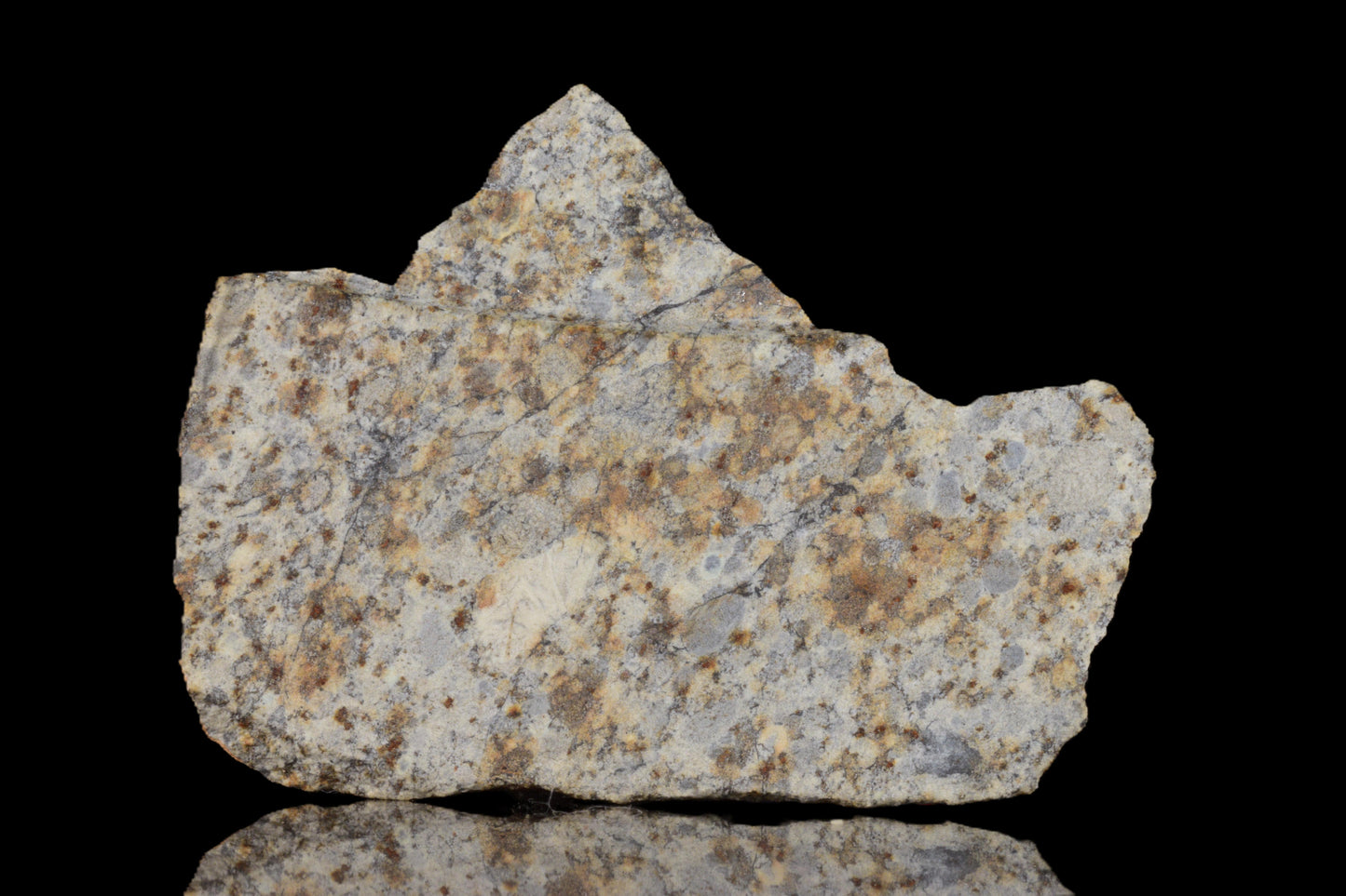 NWA 14225 LL6 chondrite meteorite specimen weighing 7.10 grams showing its textured, dark surface and mineral details.