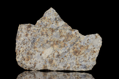 NWA 14225 LL6 chondrite meteorite specimen weighing 7.10 grams showing its textured, dark surface and mineral details.