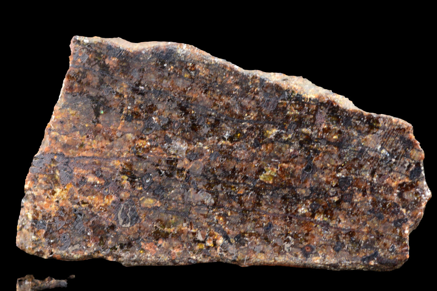 NWA 14234 H7 RARE 0.71  g