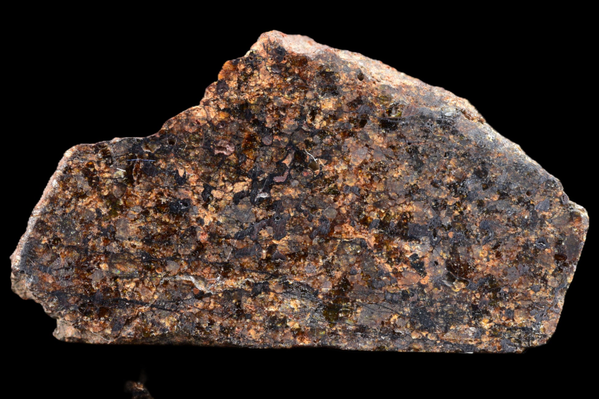 Close-up of NWA 14234 H7 rare meteorite displaying its metallic and rocky surface, weighing 1.29 grams.