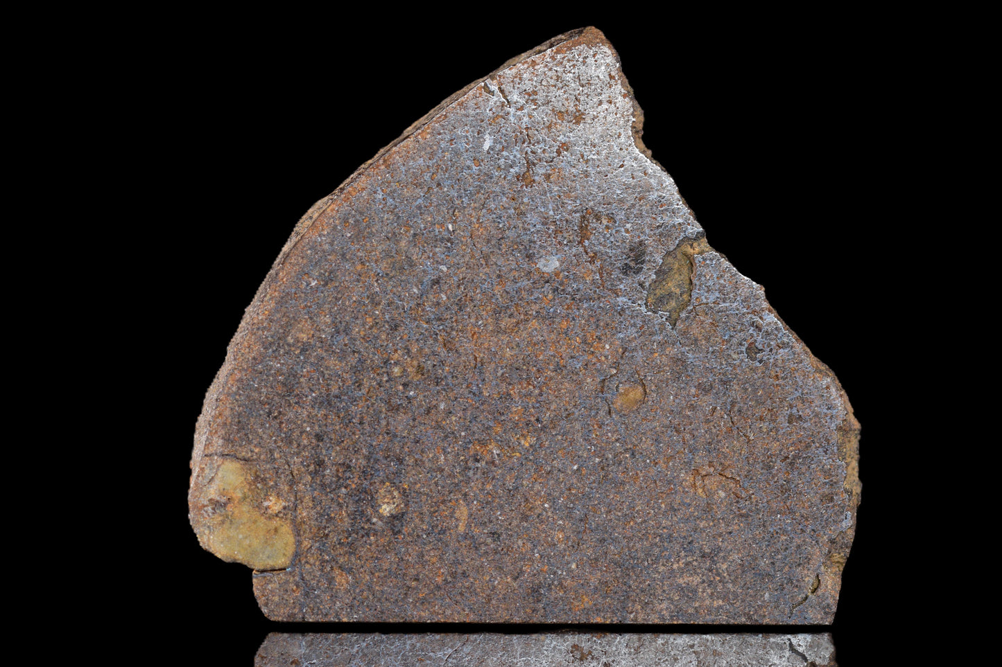 NWA 14235 EL-Melt rOck 4.88 Go