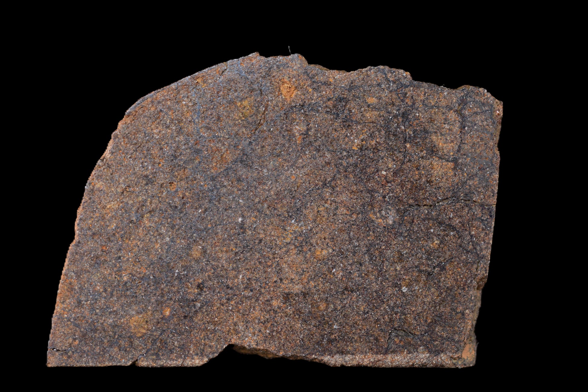 NWA 14235 EL-Melt rOck 5.68 Go