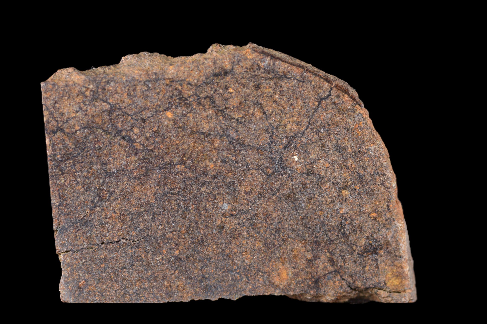 NWA 14235 EL-Melt rOck 5.68 Go