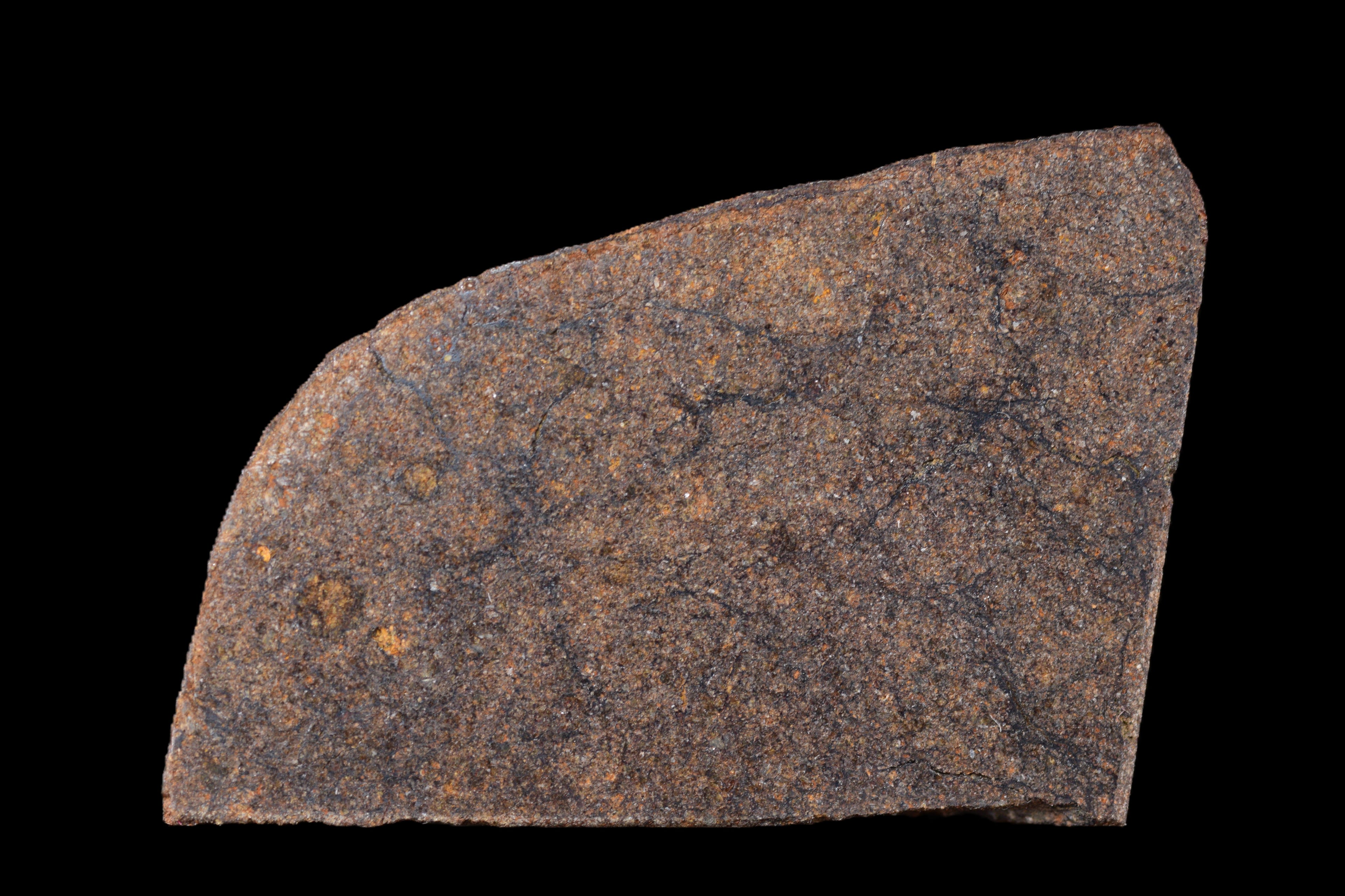 NWA 14235 EL-Melt rOck 6.31 Go