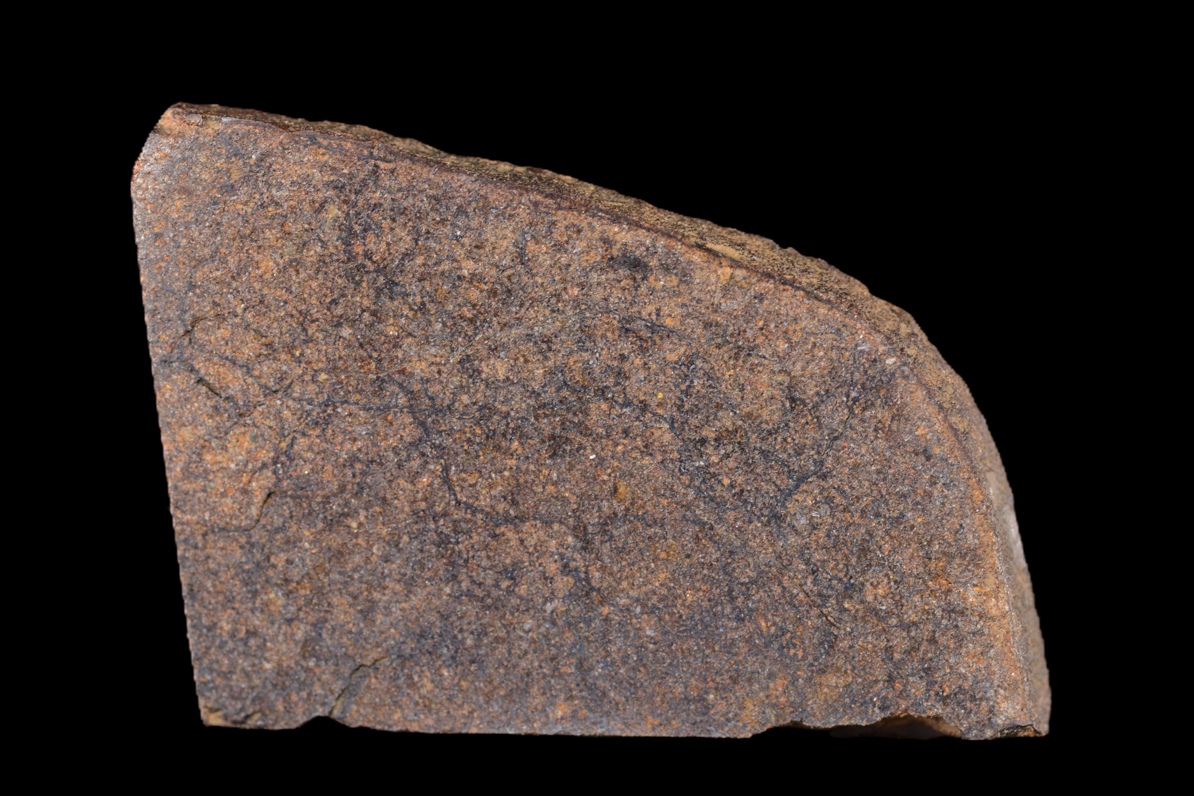 NWA 14235 EL-Melt rOck 6.31 Go