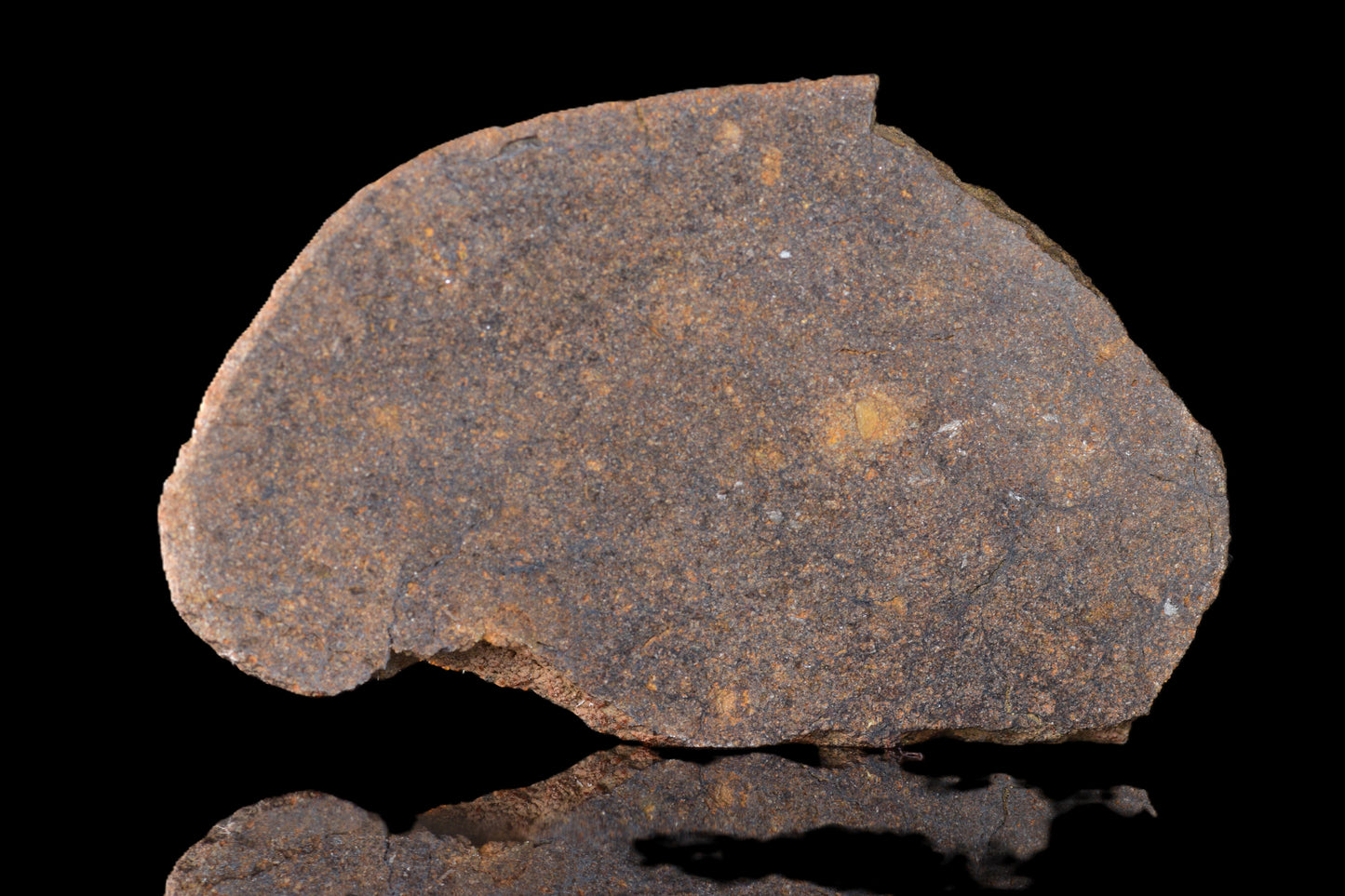 NWA 14235 EL-Melt rock 16.15 G