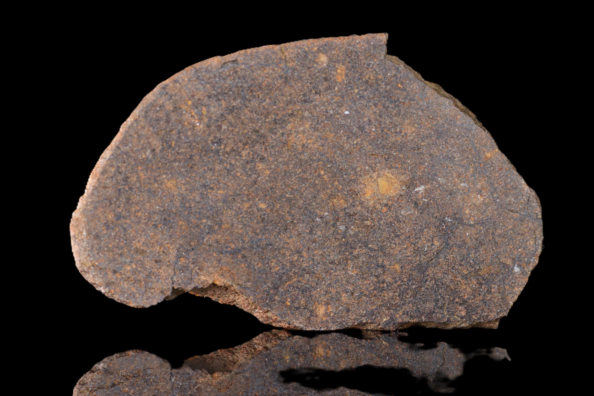 NWA 14235 EL-Melt rock 16.15 G