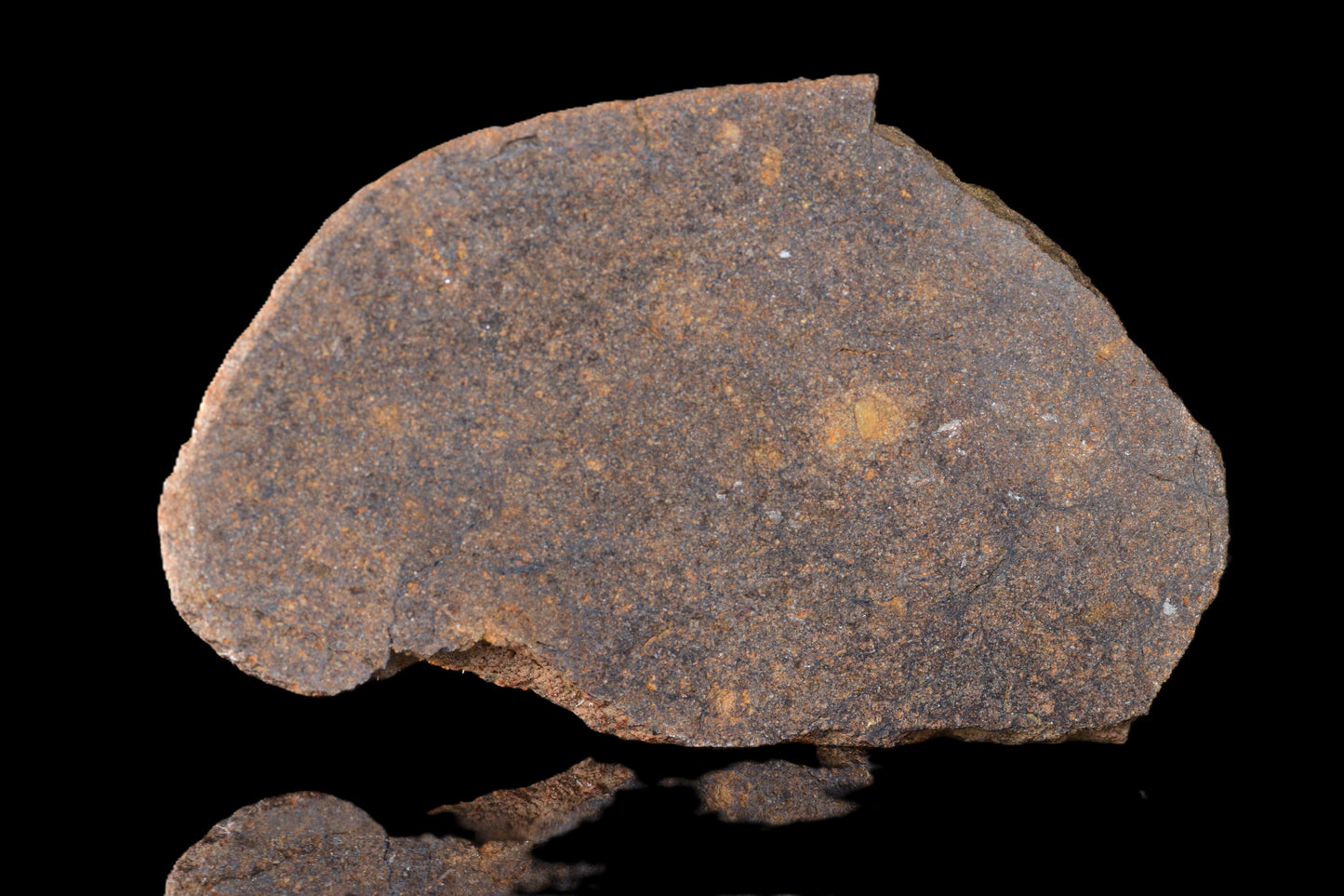 NWA 14235 EL-Melt rock 16.15 G