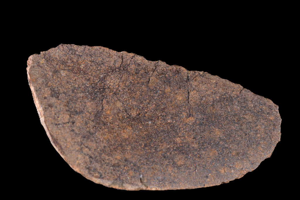 NWA 14235 EL-Melt rock 21.82 G