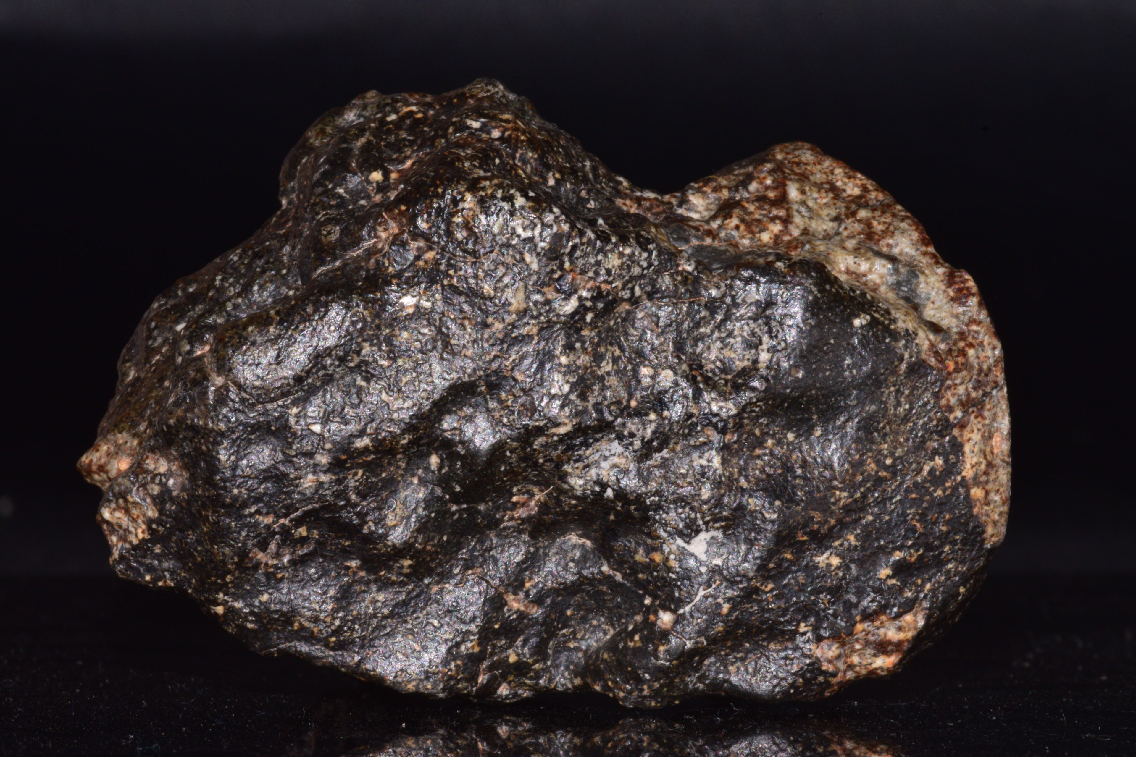 NWA 14410 Eucrite Breccia Meteorite Main Mass