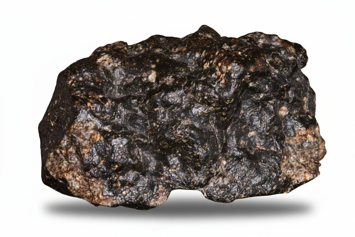 NWA 14410 Eucrite Breccia Meteorite Main Mass