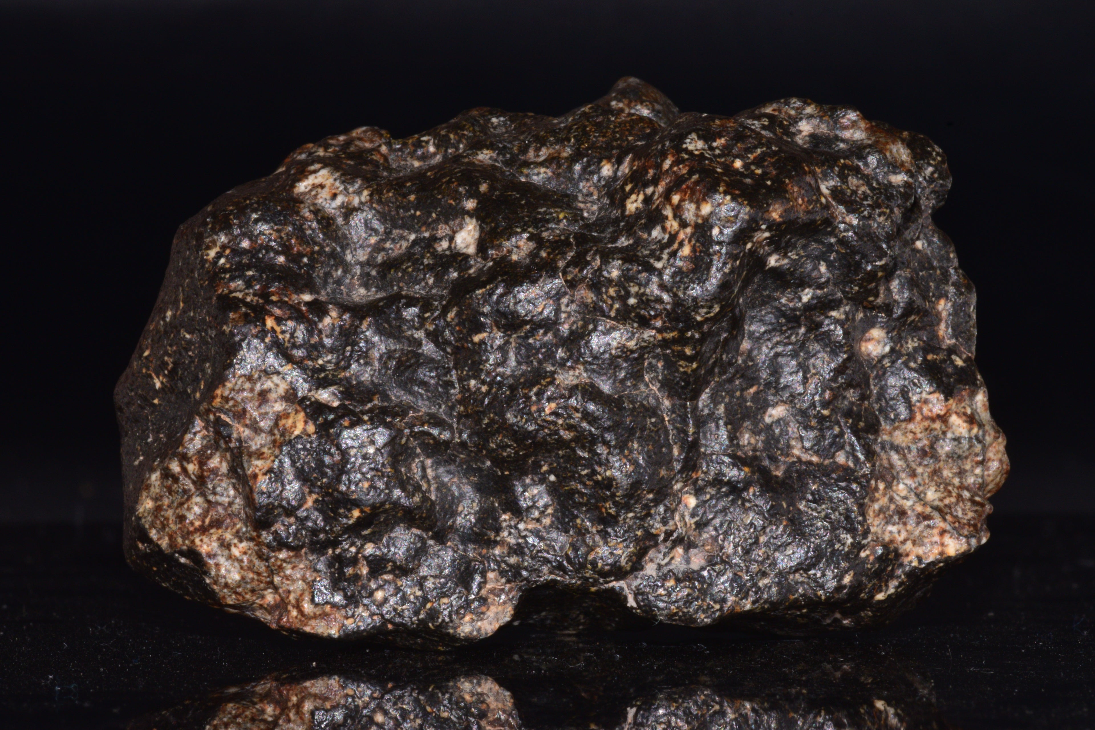 NWA 14410 Eucrite Breccia Meteorite Main Mass