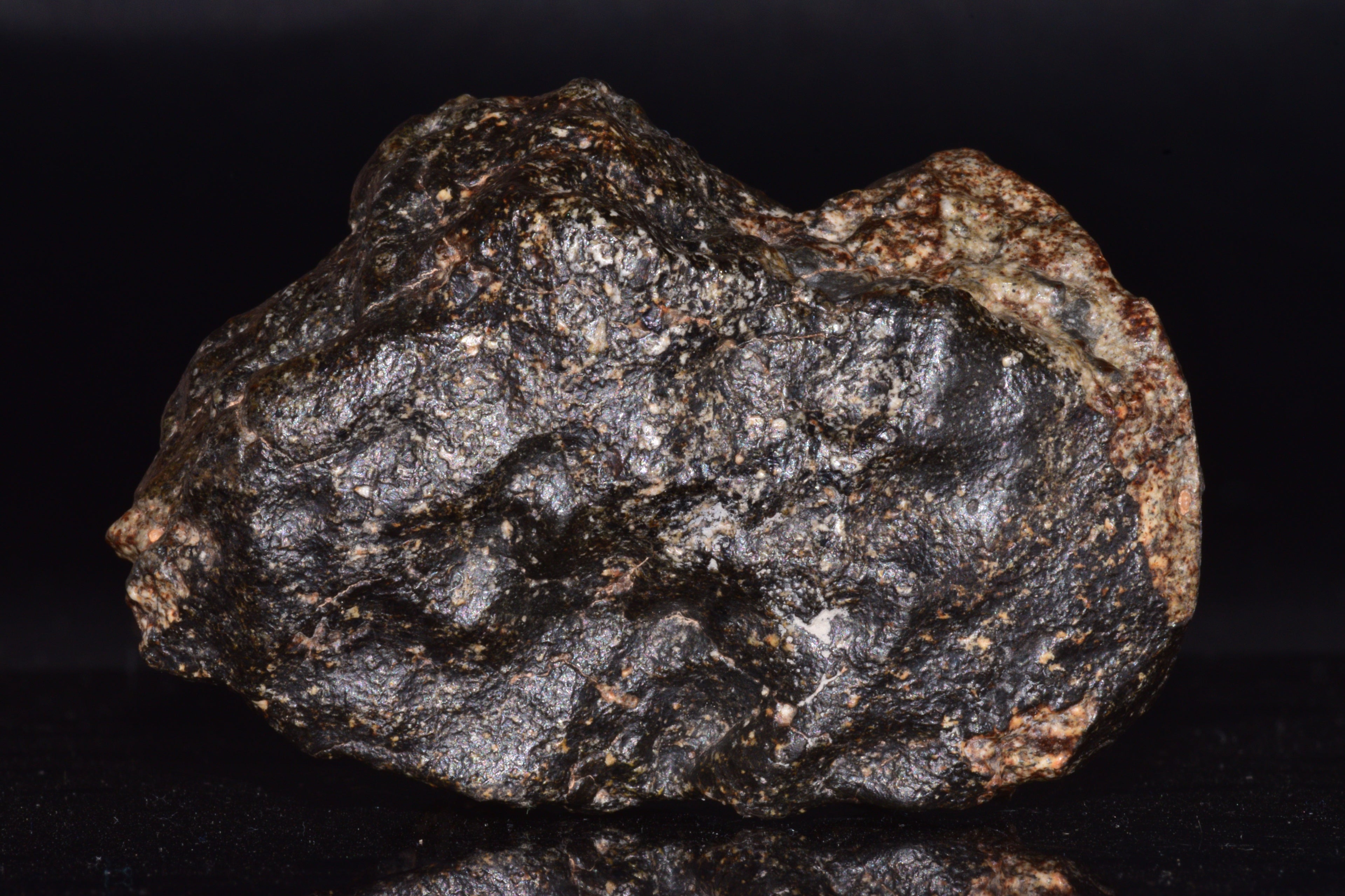 NWA 14410 Eucrite Breccia Meteorite Main Mass