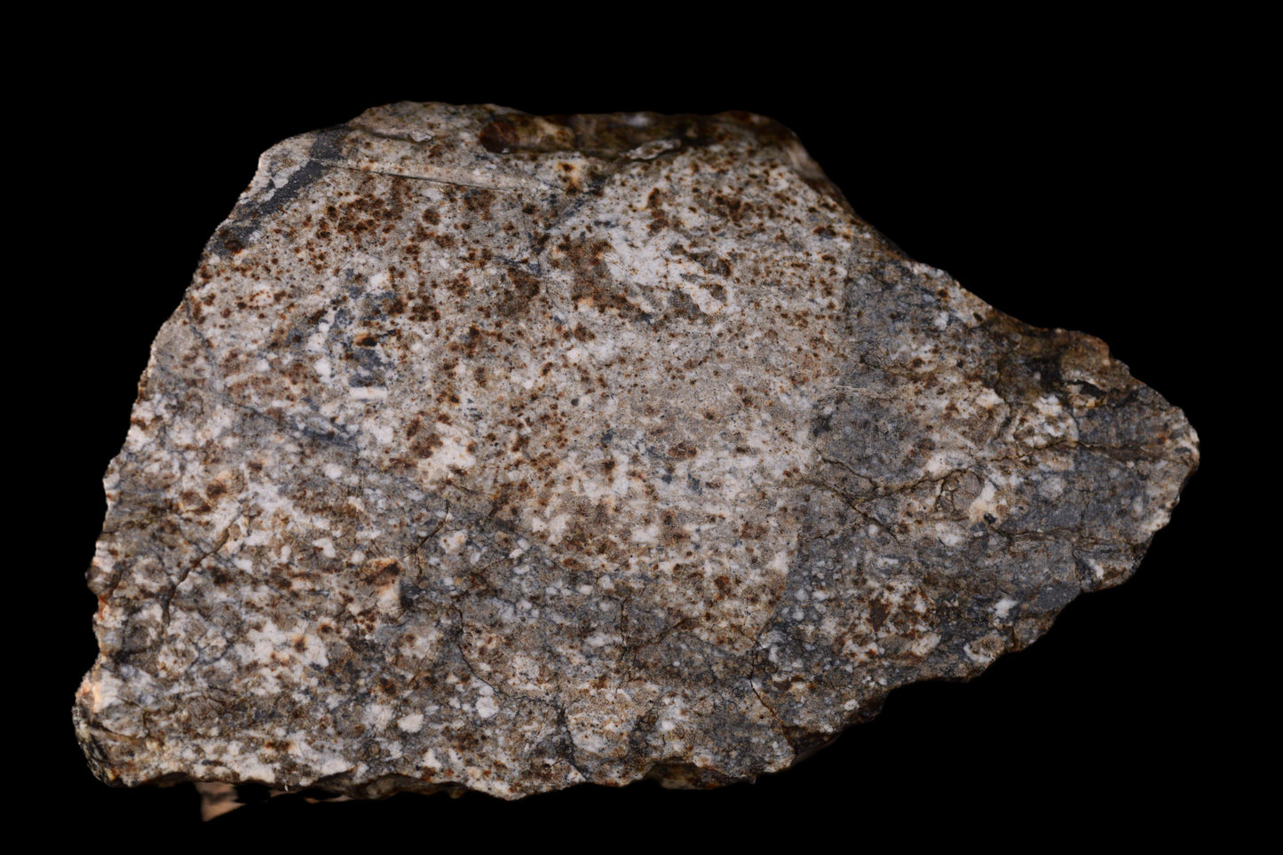 NWA 14410 Eucrite br  47.38 G