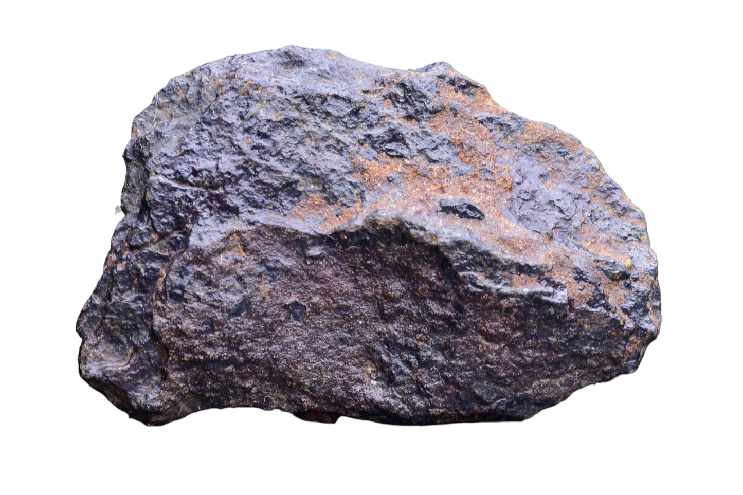 NWA 14867 Mesosiderite Meteorite Endcut Slice — alternate view 6