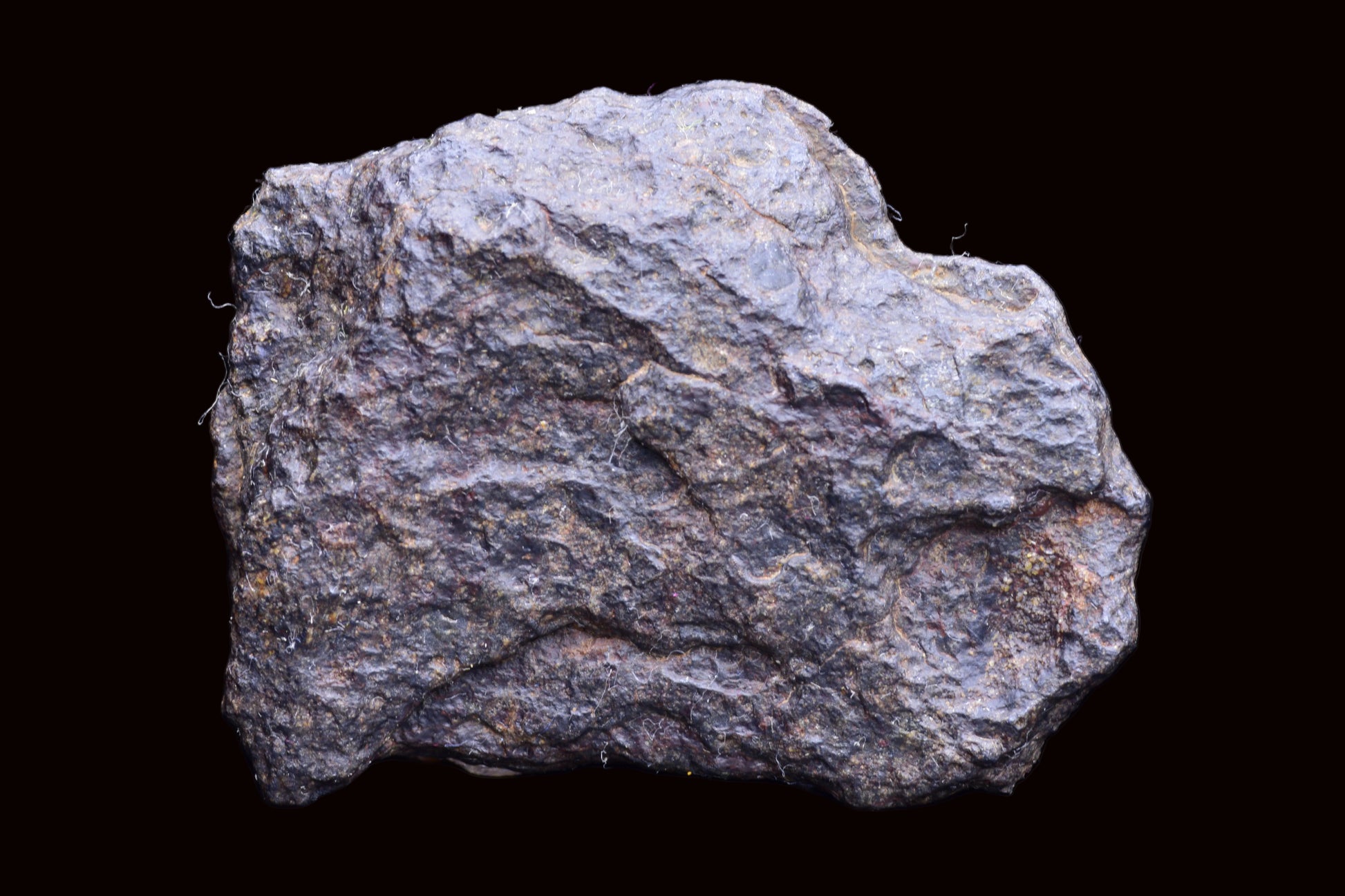 NWA 14867 Mesosiderite Meteorite Endcut Slice