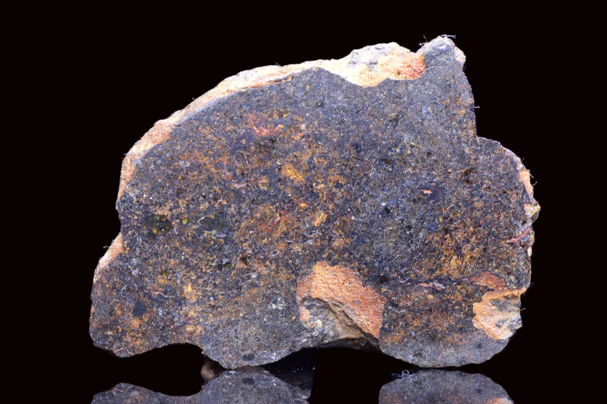 NWA 14867 Mesosiderite Meteorite Endcut Slice