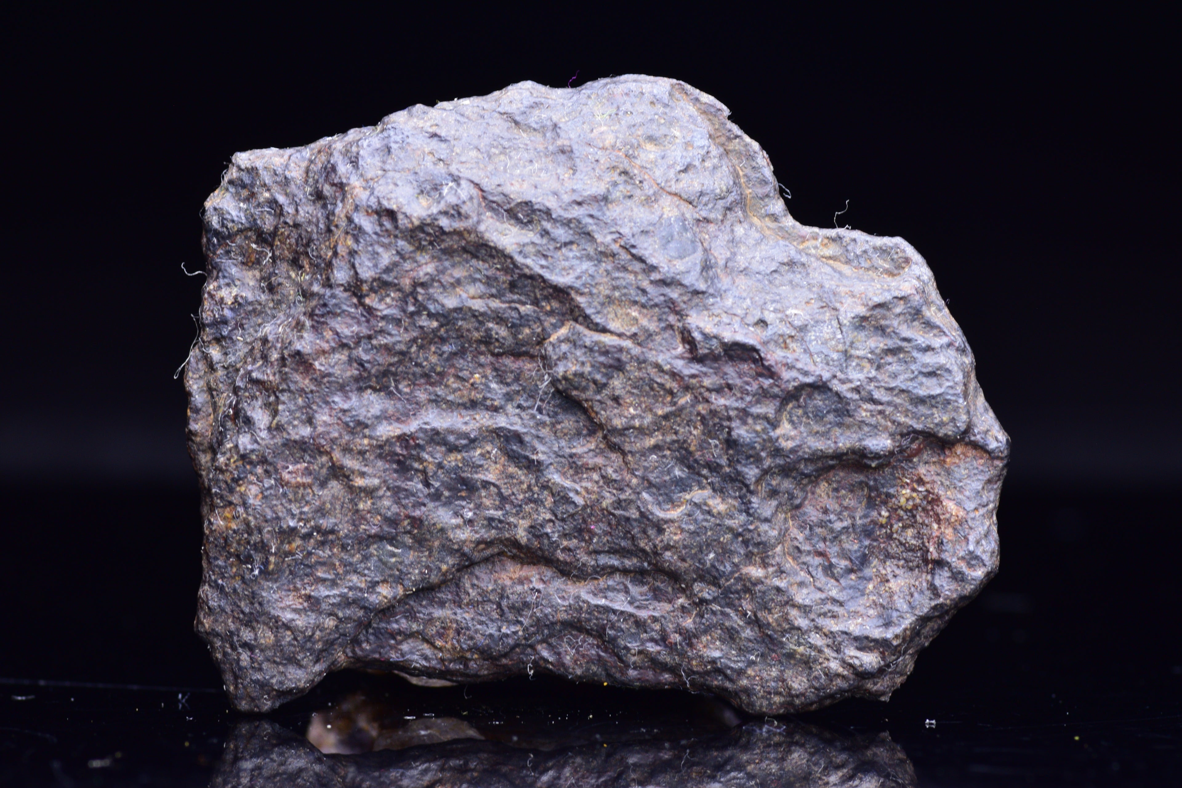 NWA 14867 Mesosiderite Meteorite Endcut Slice 