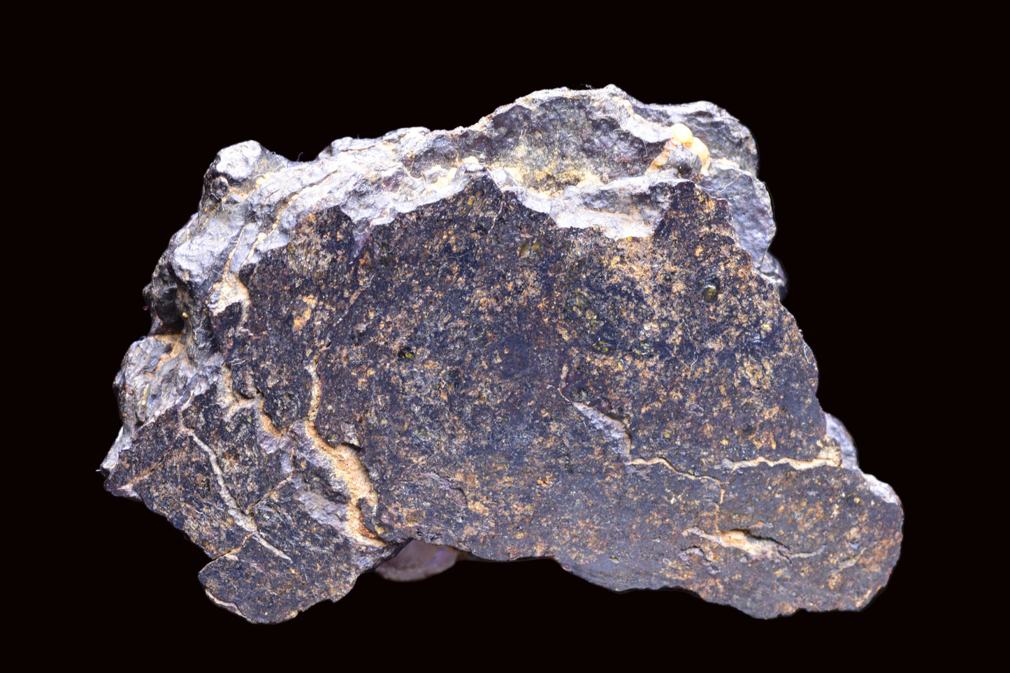NWA 14867 Mesosiderite Meteorite Endcut Slice
