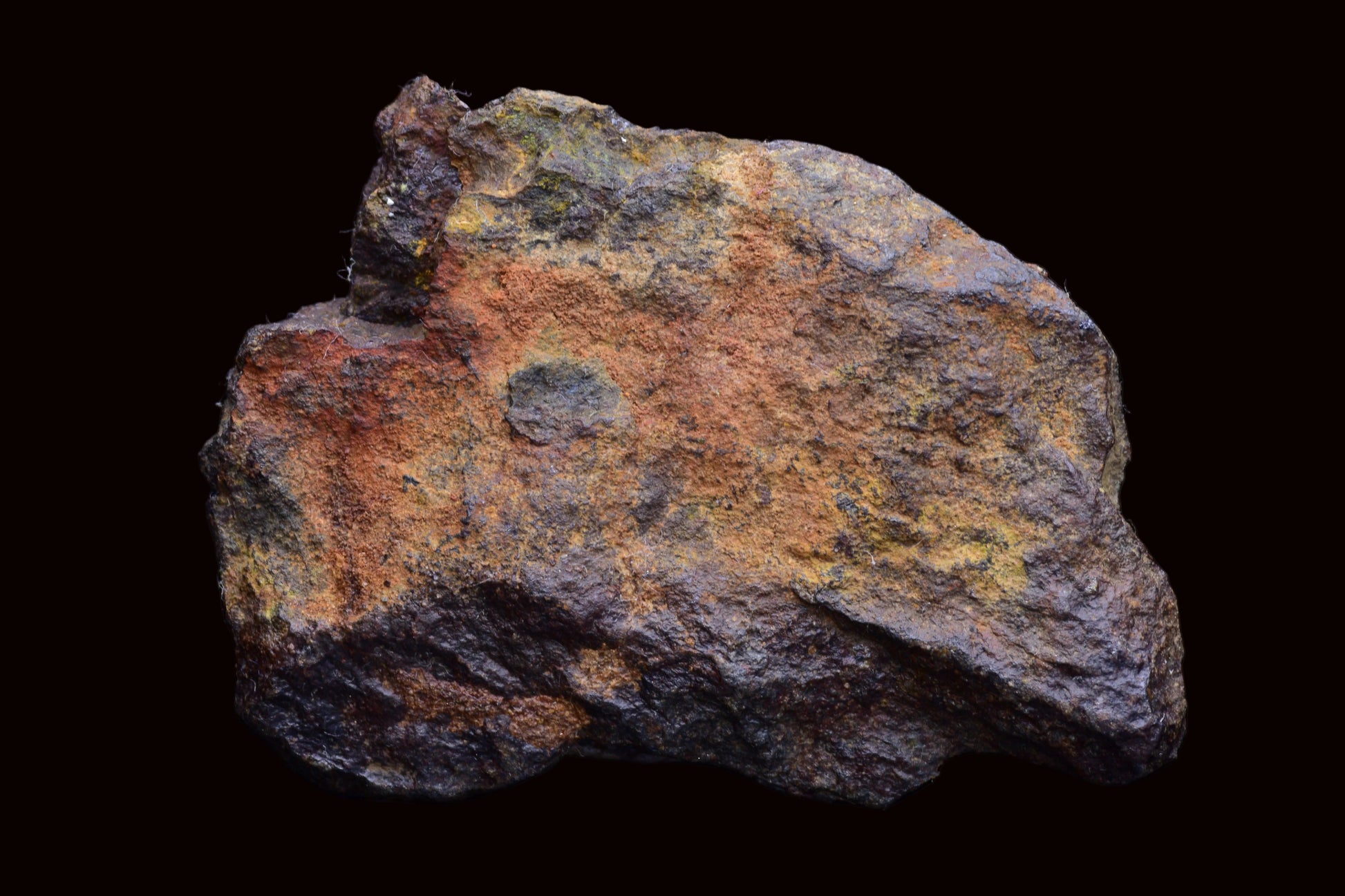 NWA 14867 Mesosiderite Meteorite Endcut Slice