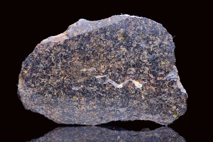 NWA 14867 Mesosiderite Meteorite Endcut Slice