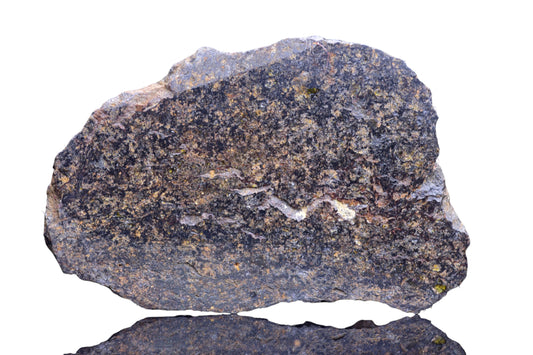 NWA 14867 Mesosiderite Meteorite Endcut Slice