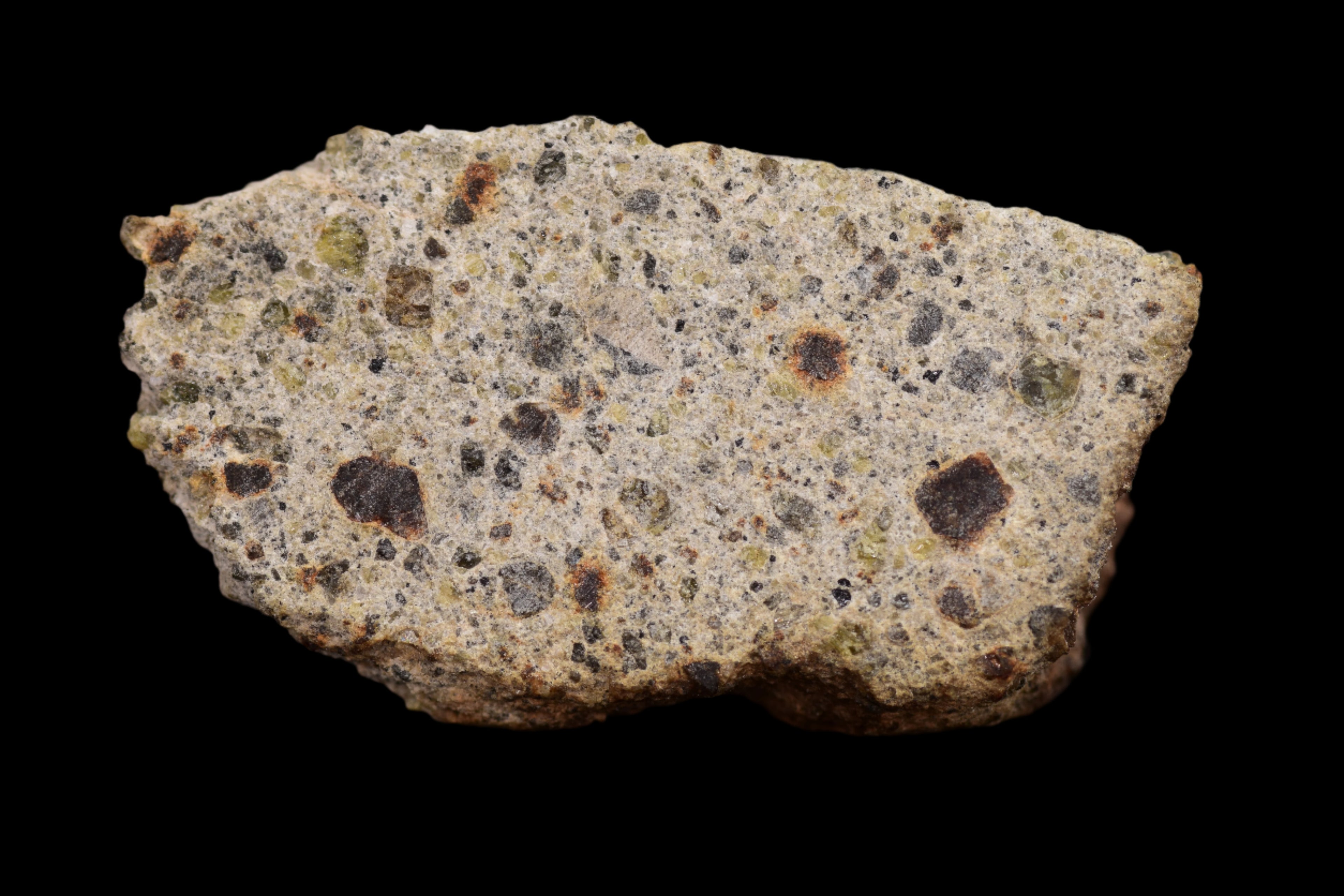 NWA 14868 Diogenite Meteorite – Polymict HED Achondrite for Sale