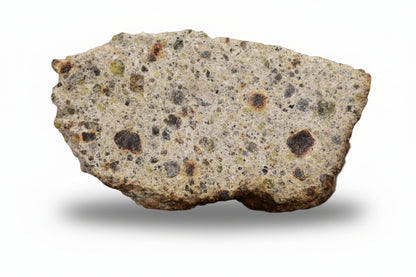 NWA 14868 Diogenite PM 3.1 G.