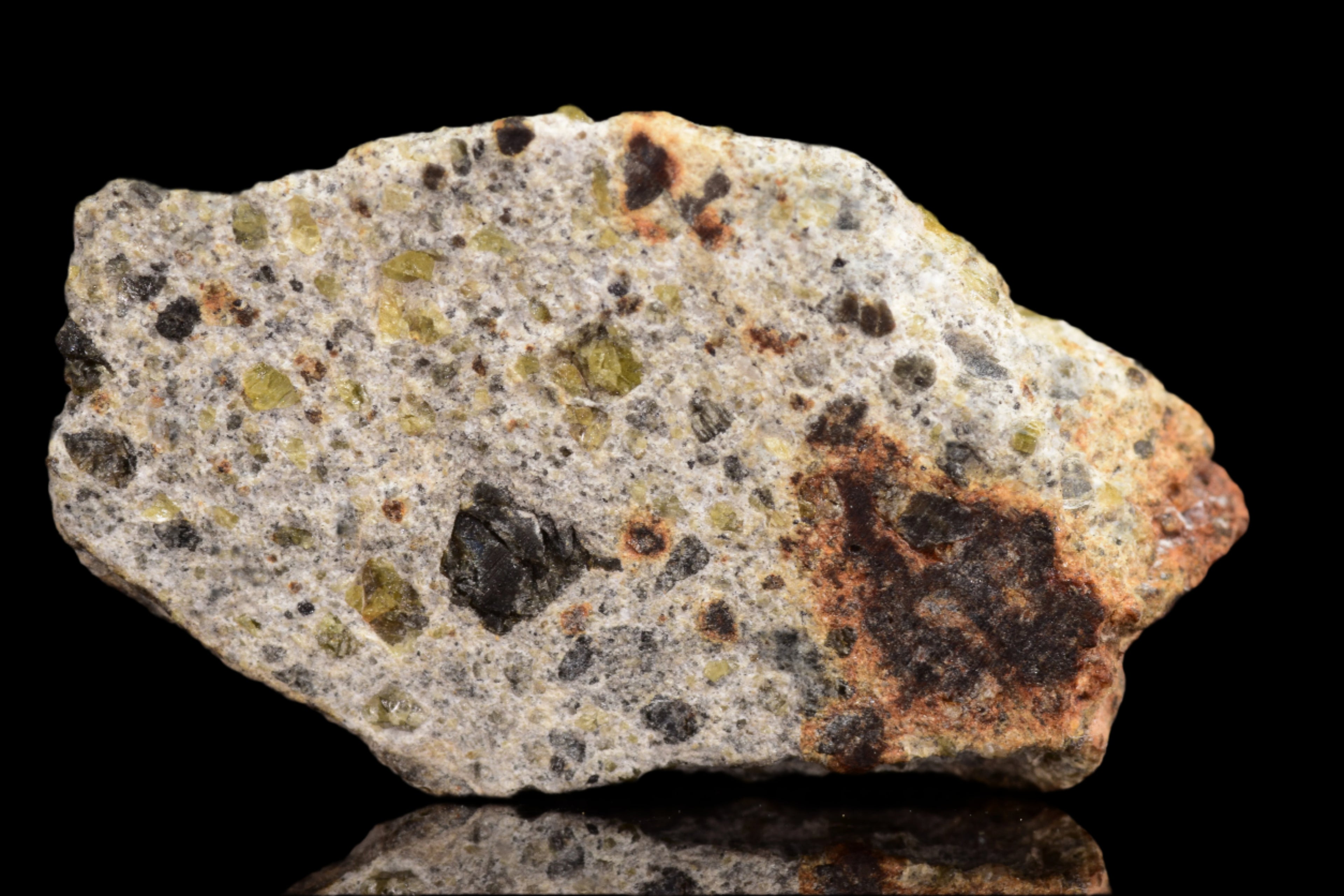 NWA 14868 Diogenite Meteorite – Polymict HED Achondrite for Sale