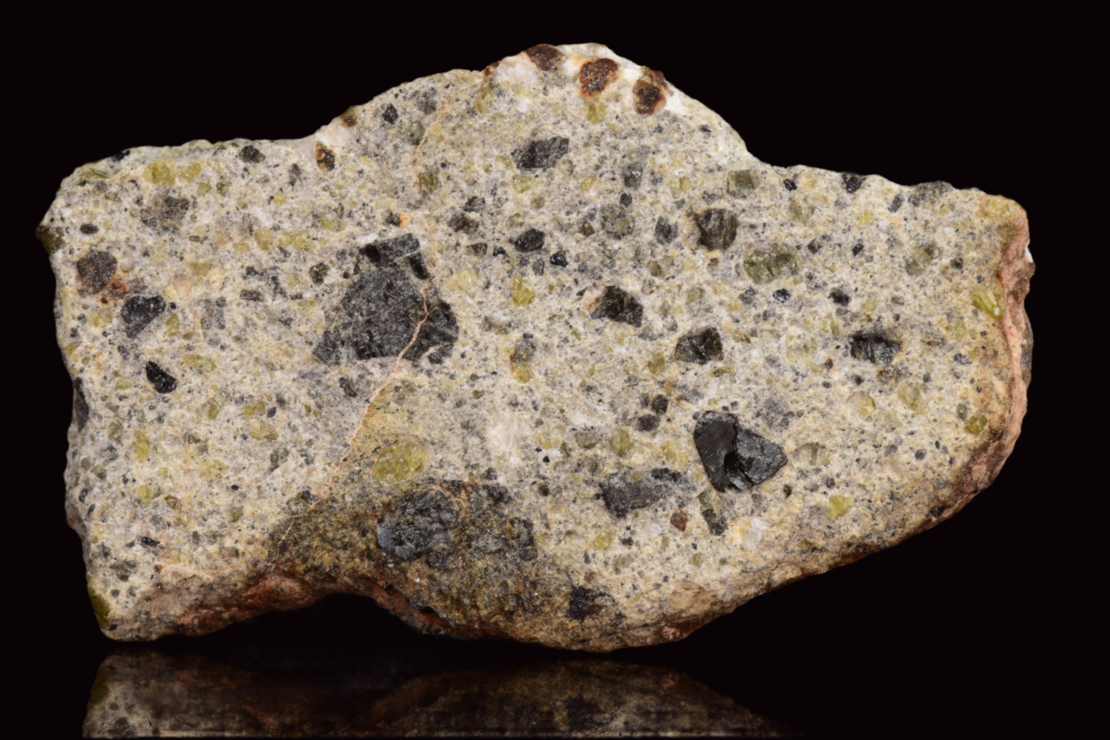 NWA 14868 Diogenite Meteorite – Polymict HED Achondrite for Sale