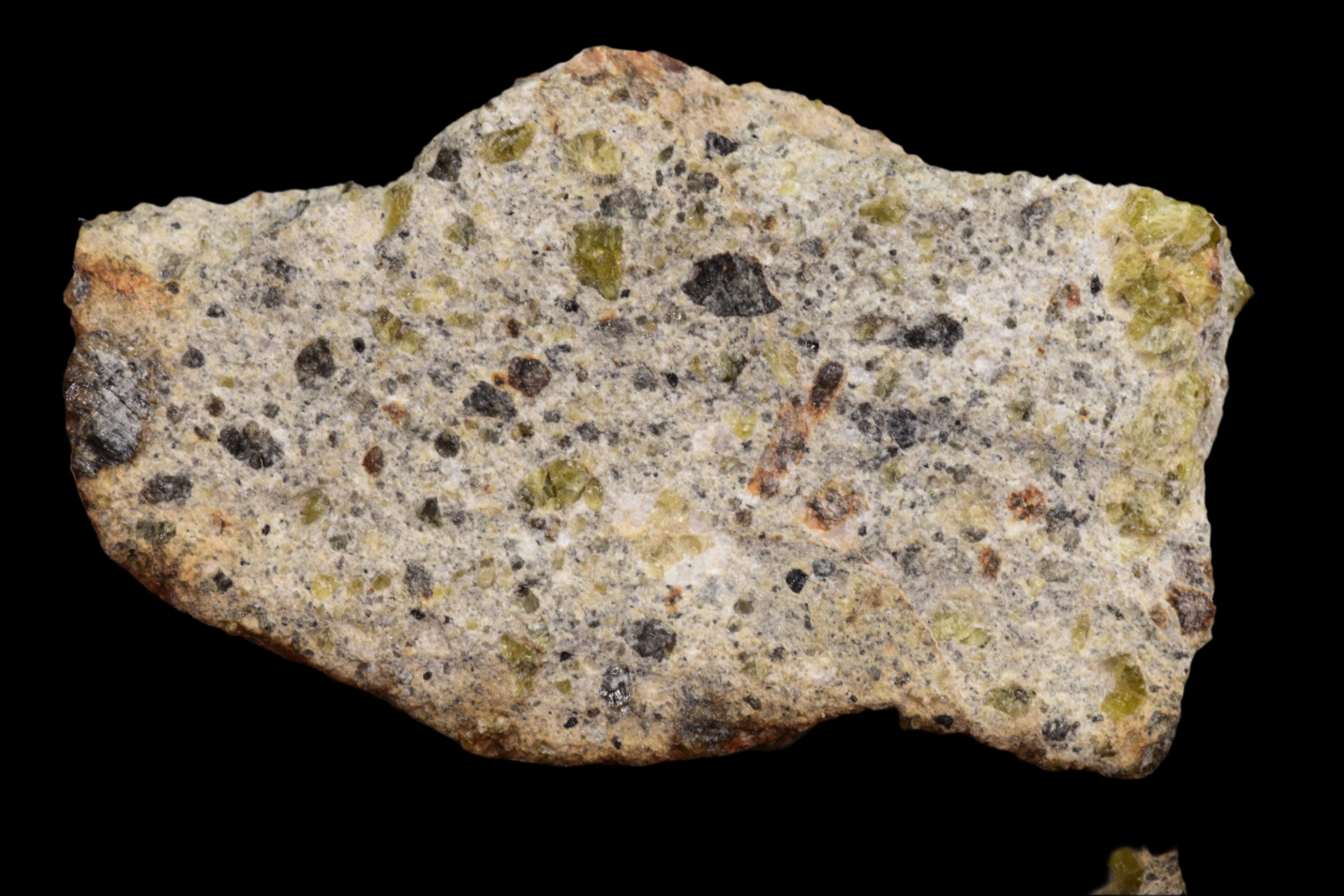 NWA 14868 Diogenite Meteorite – Polymict HED Achondrite for Sale
