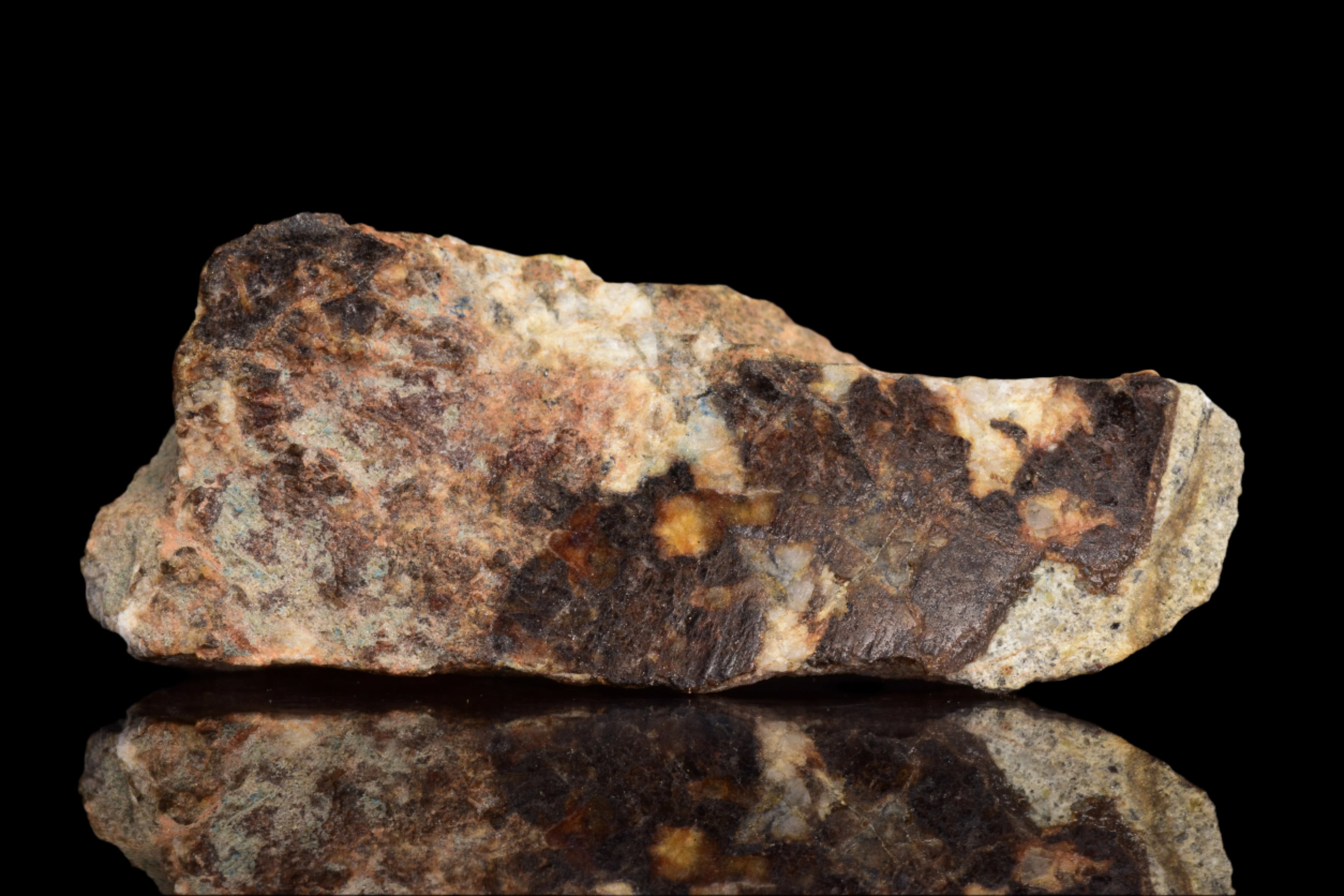 NWA 14868 Diogenite Meteorite – Polymict HED Achondrite for Sale