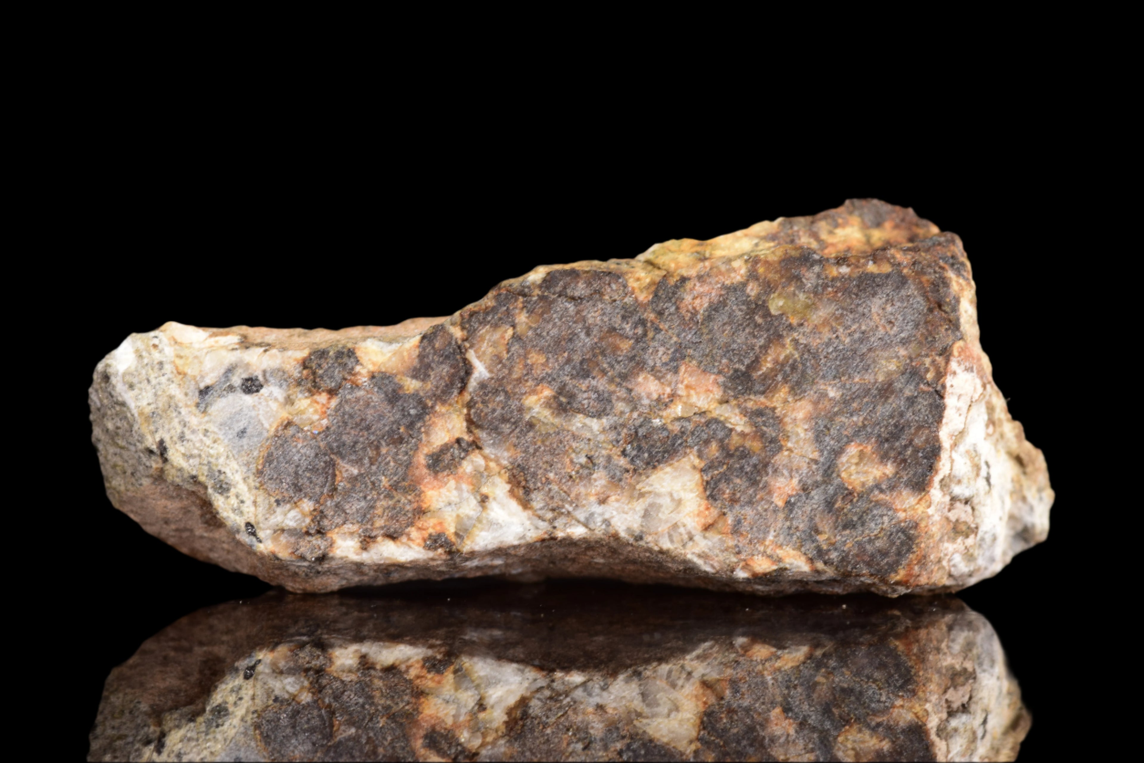 NWA 14868 Diogenite Meteorite – Polymict HED Achondrite for Sale