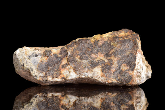 NWA 14868 Diogenite PM 3.0 G.