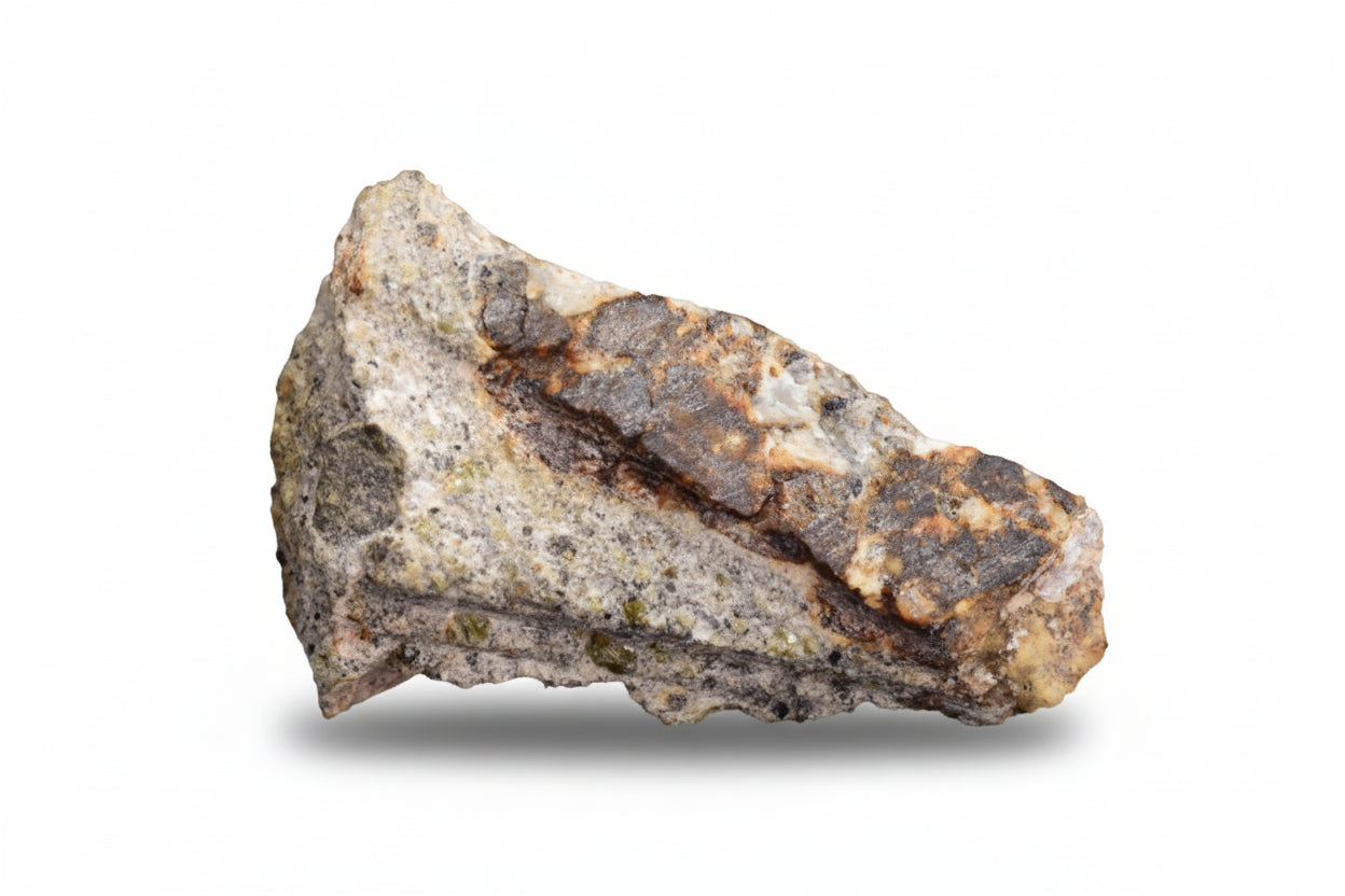 NWA 14868 Diogenite PM 1.9 G.