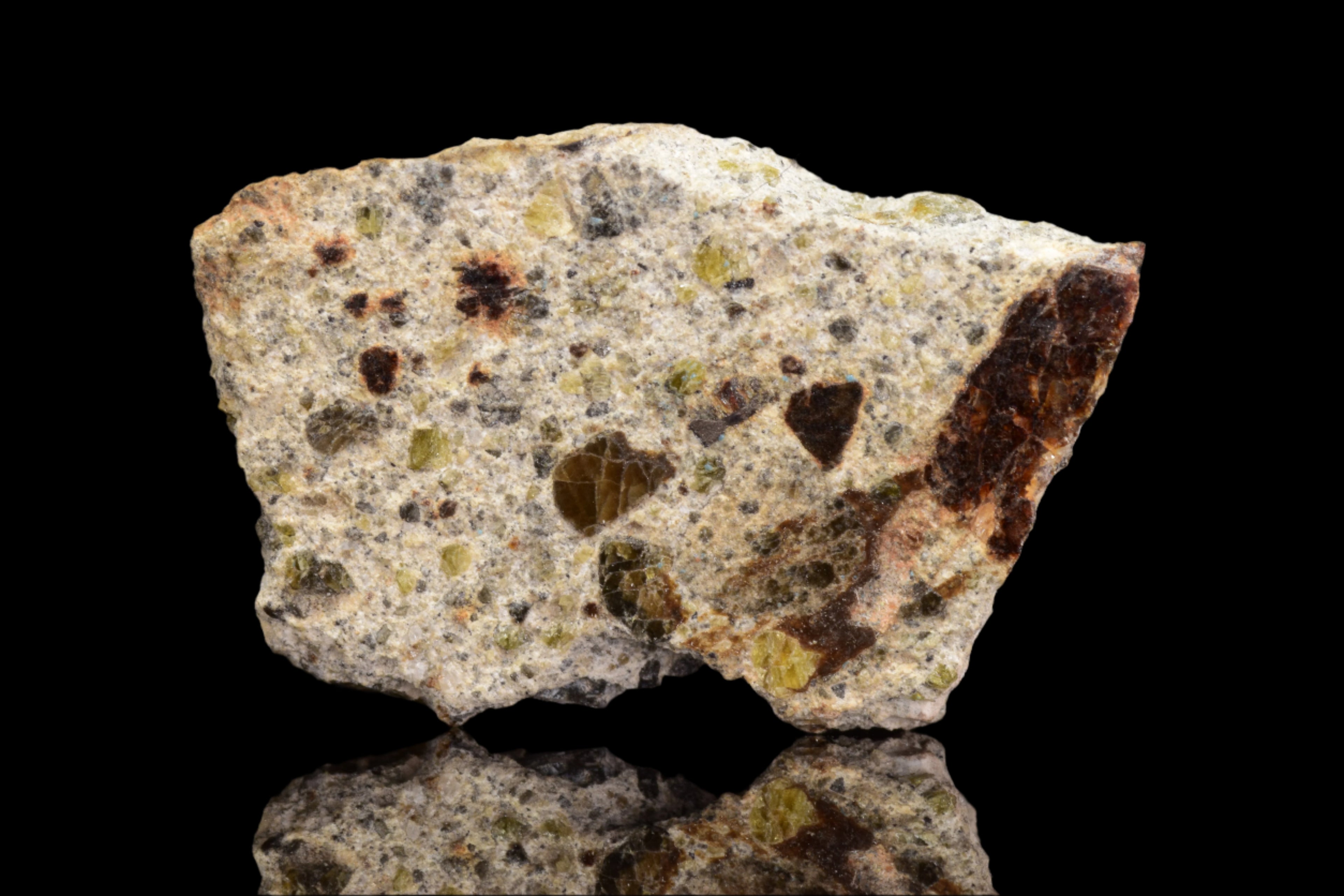 NWA 14868 Diogenite Meteorite – Polymict HED Achondrite for Sale
